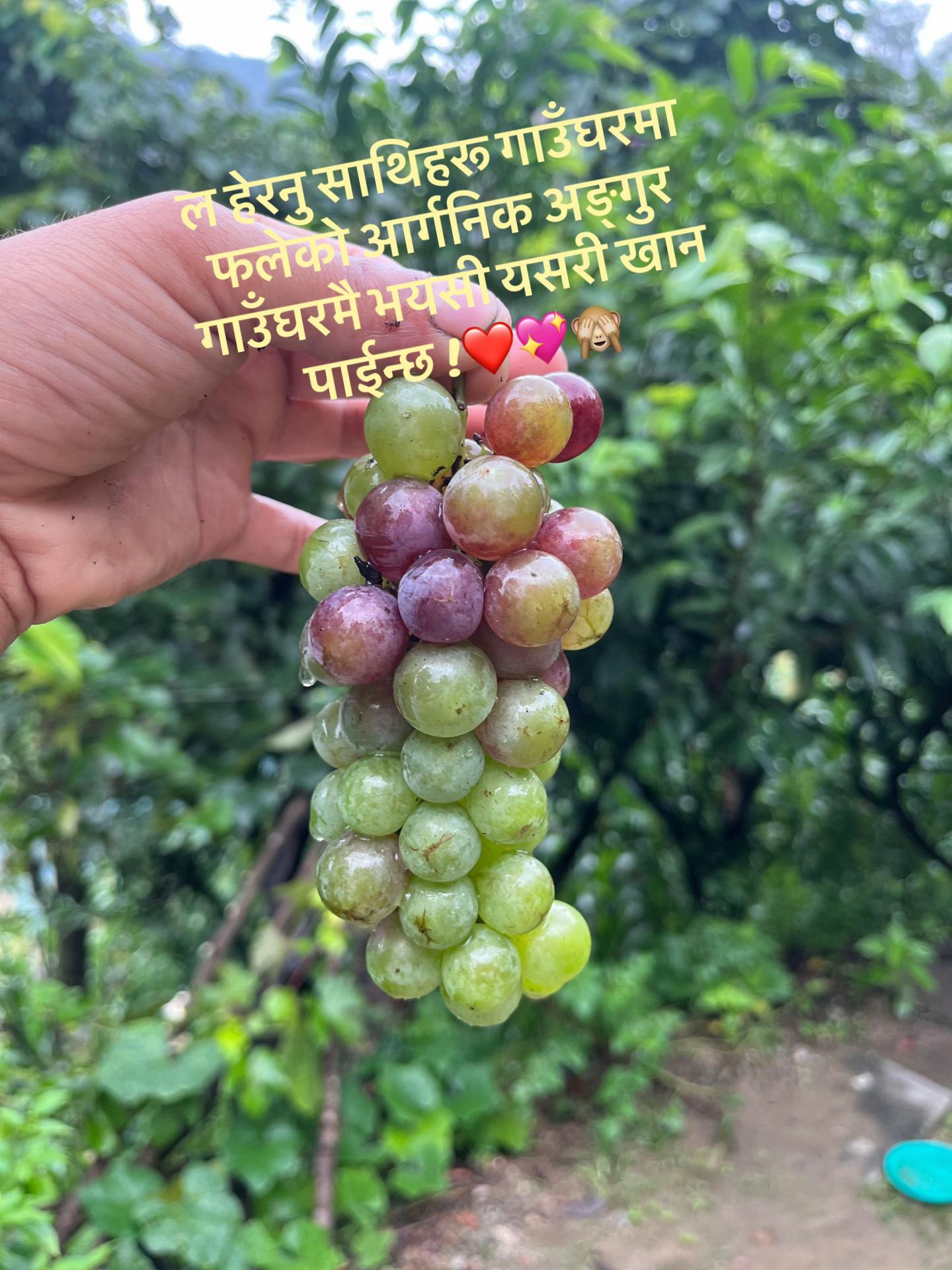 @Suresh puri 