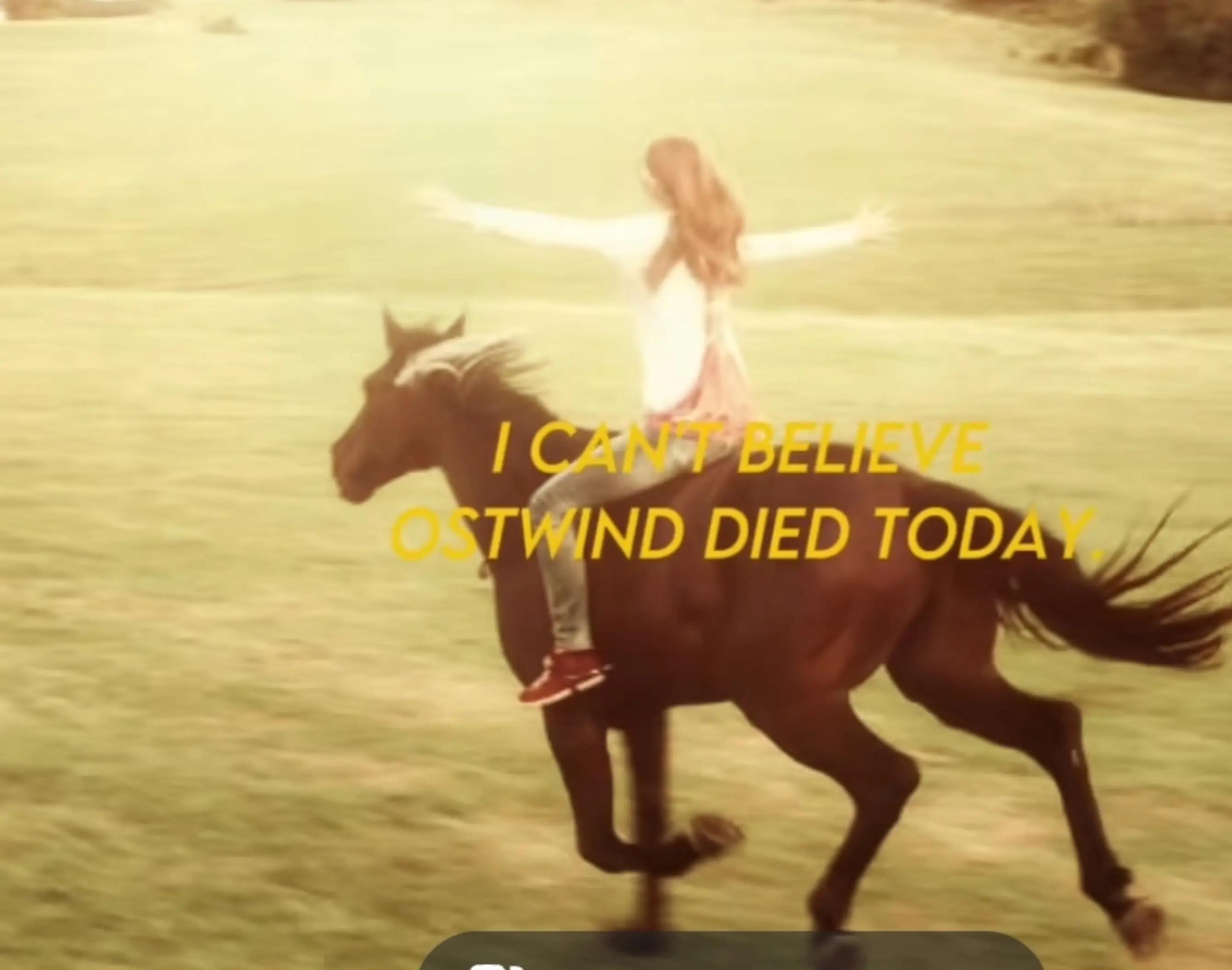 @GypsyHorse