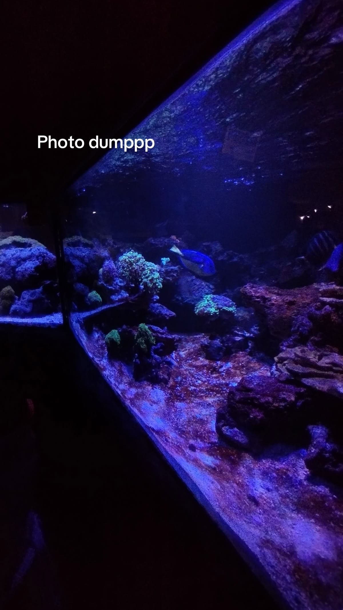 @777💵