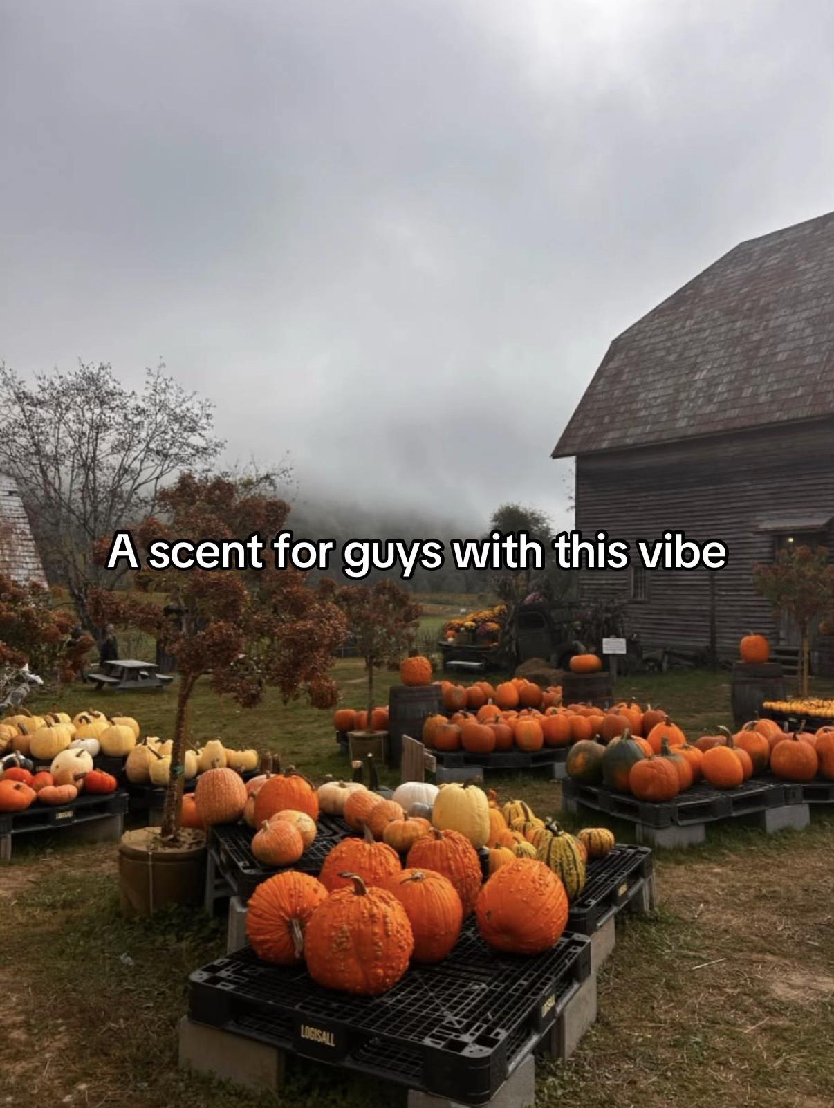 @Tessa