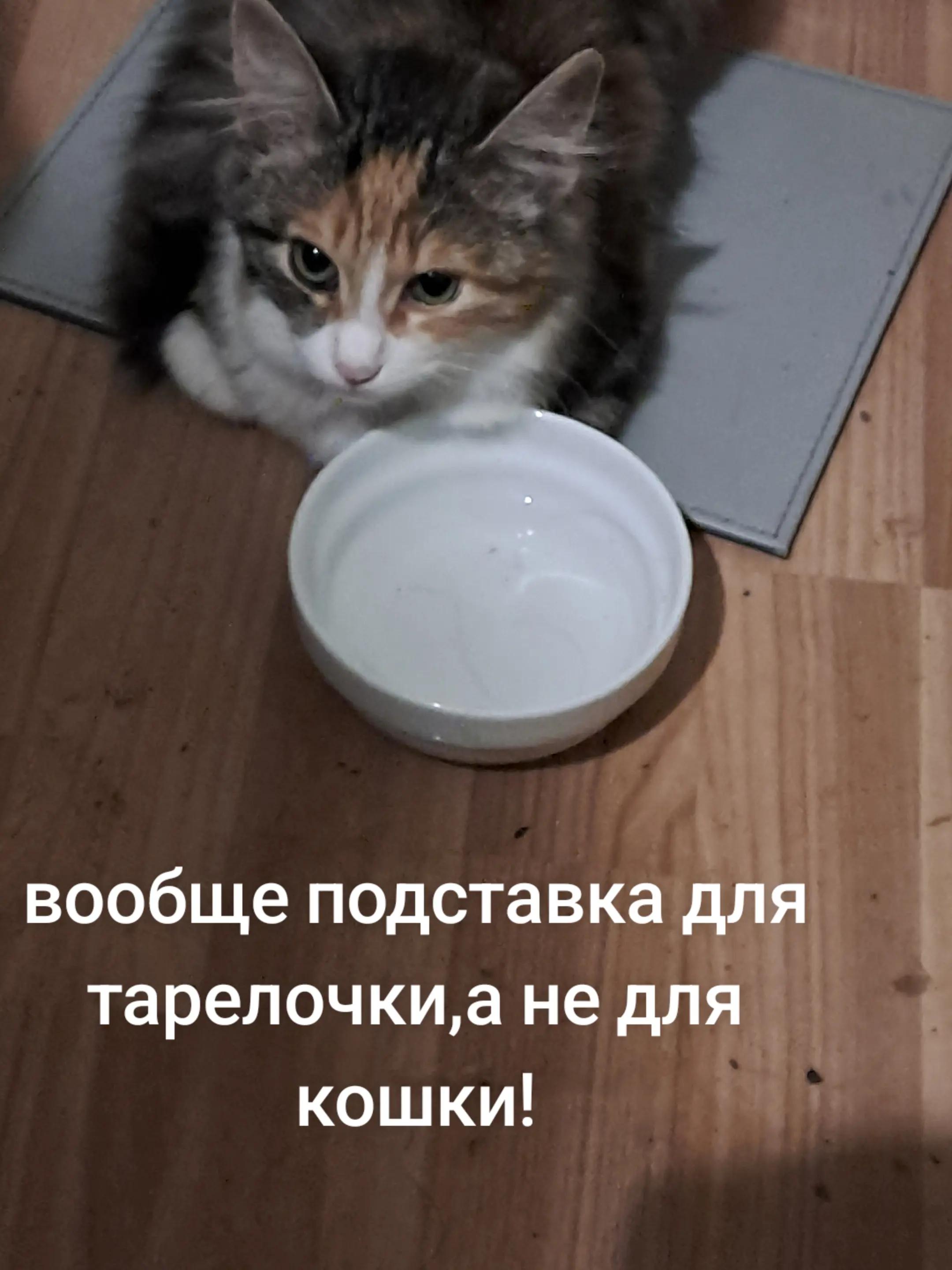 @RUSSIAN_GG