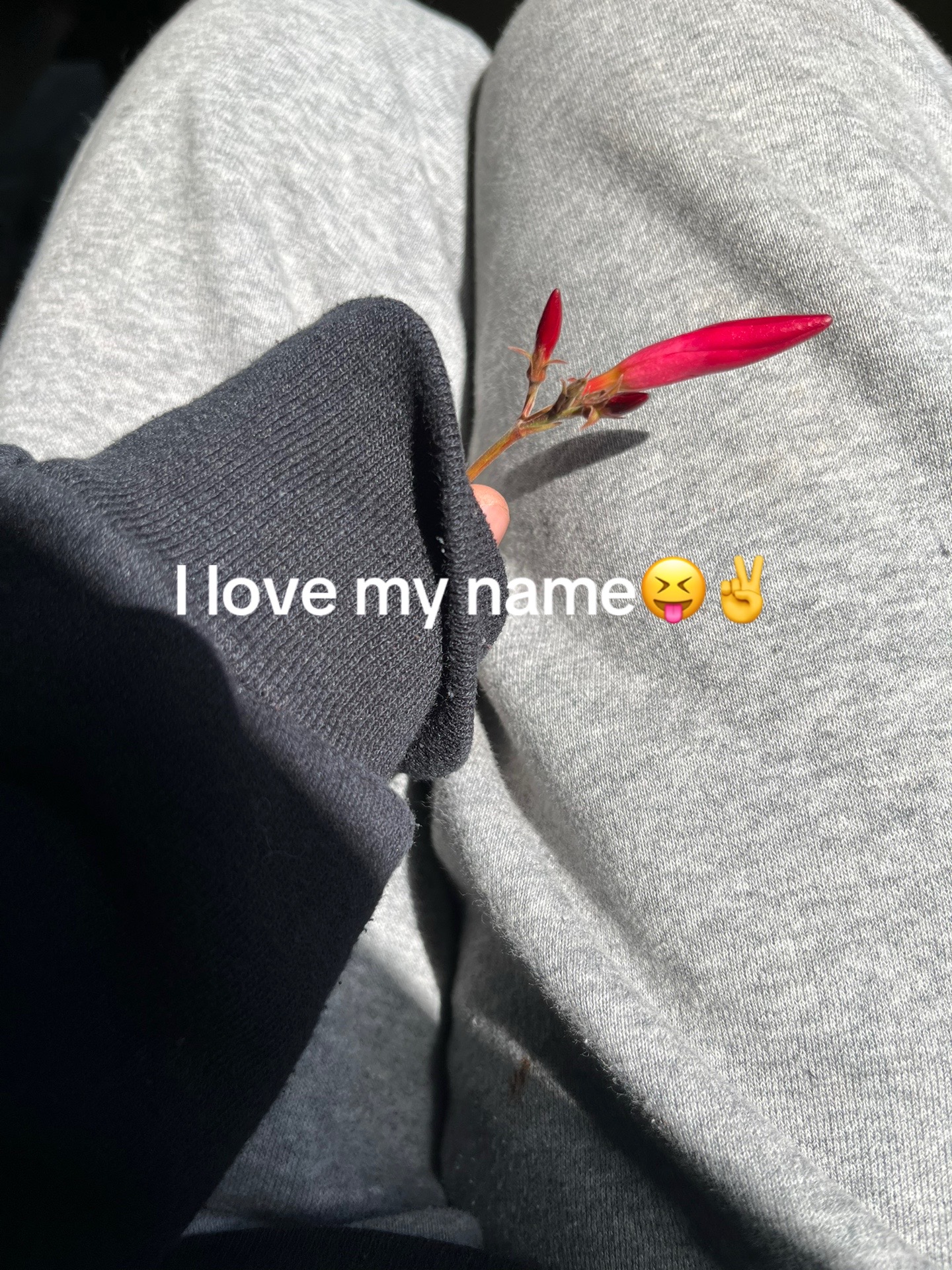 @Aurora丰