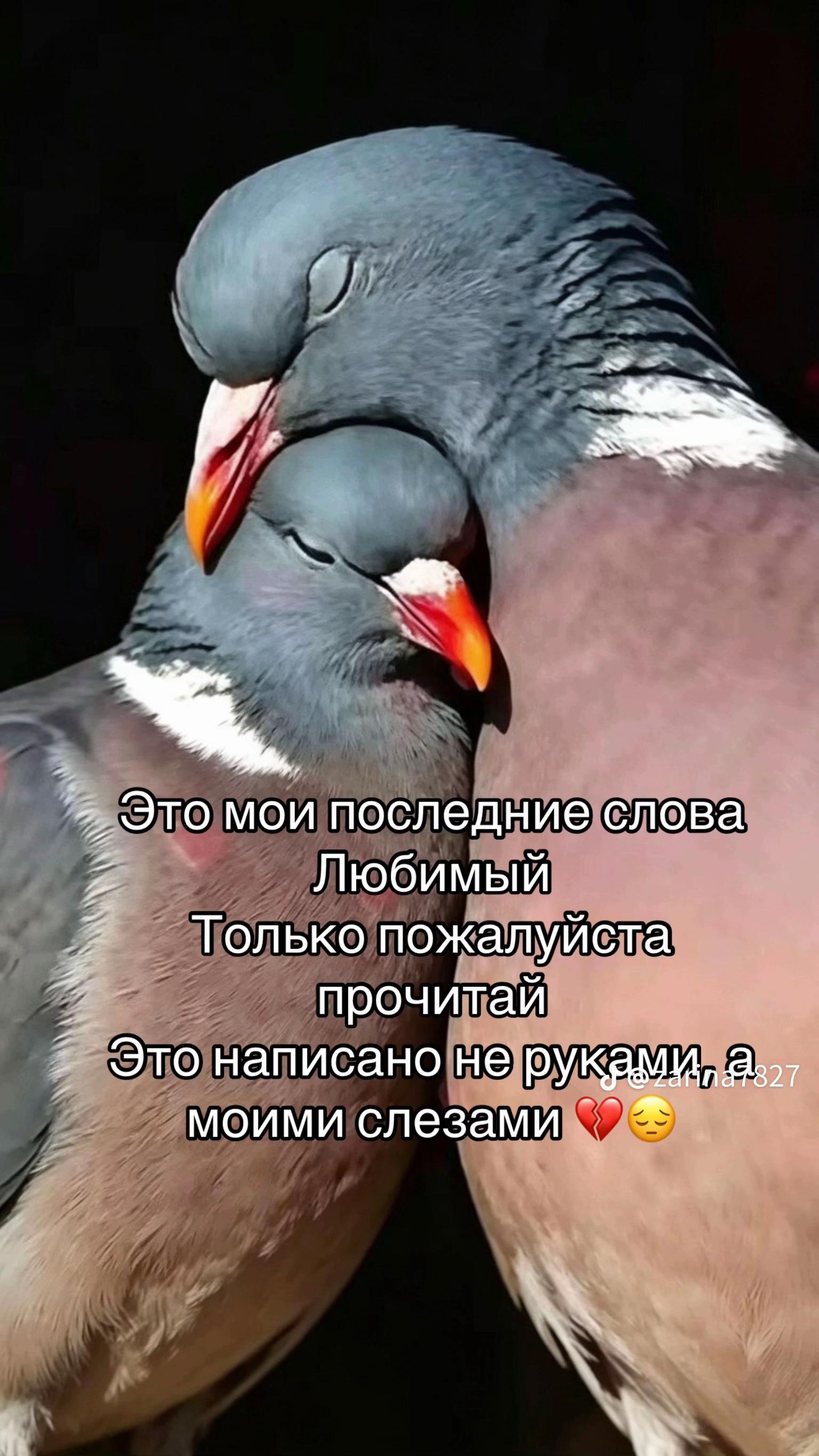 @Разбитое сердце на куски 💔