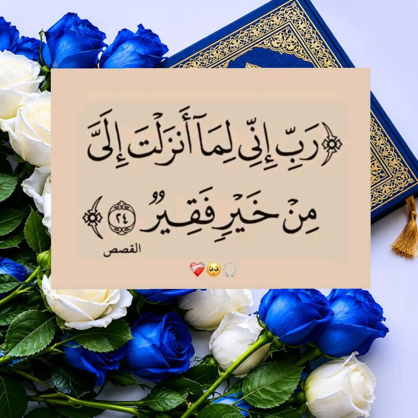 @Rayanbilan3
