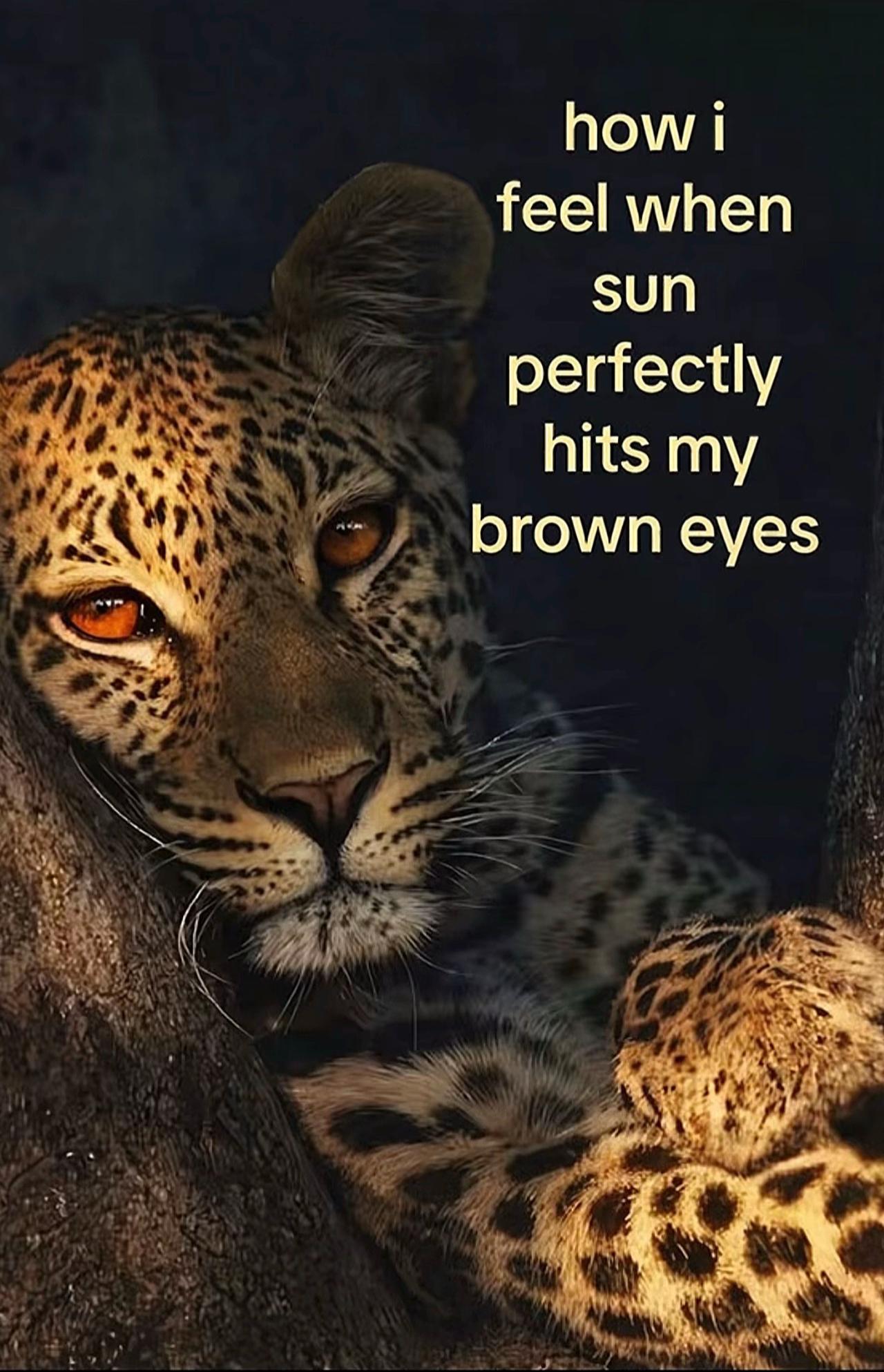 @Kader Karani