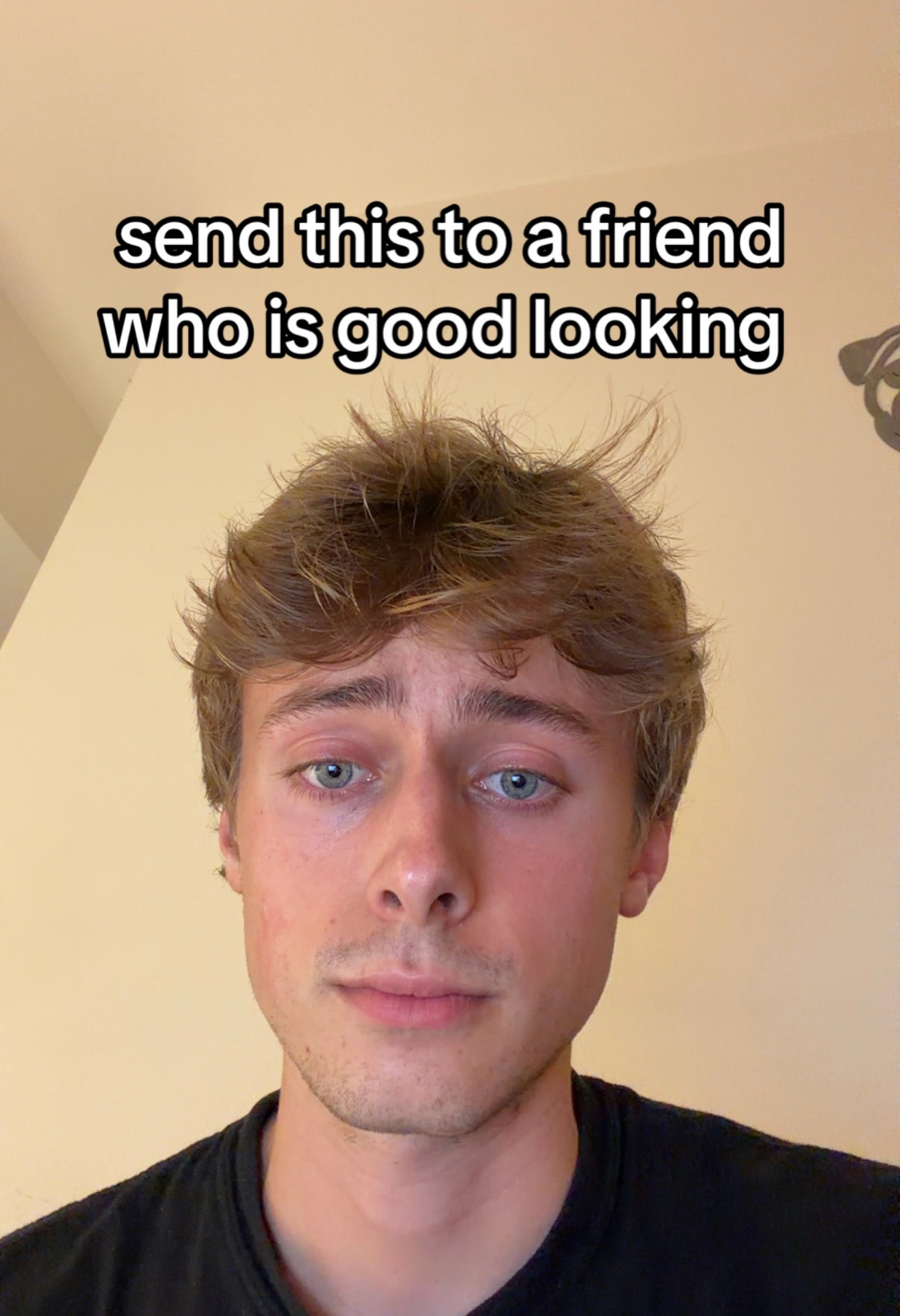 @Connor Pugs