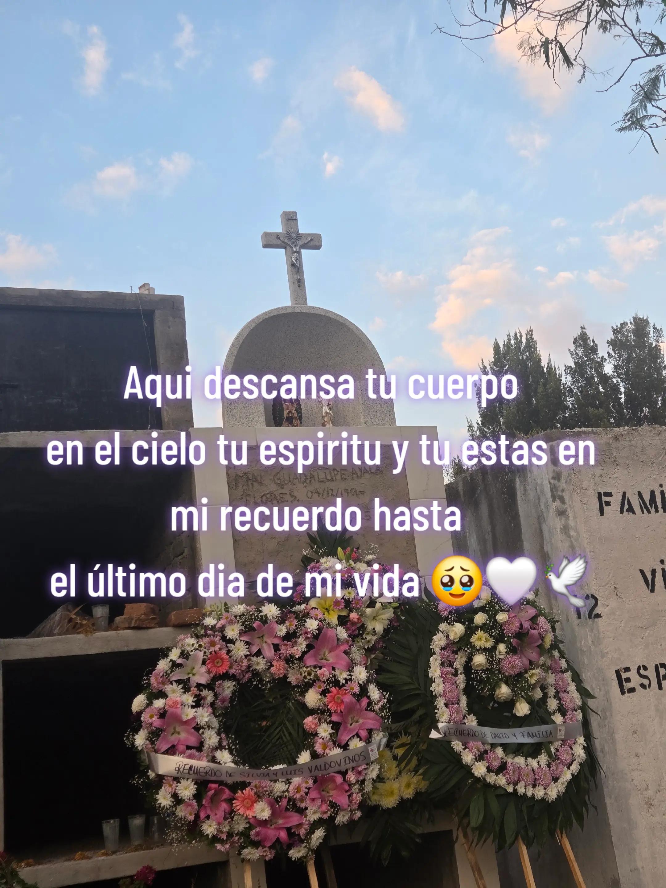 @🌺 christy464 🌺🦐