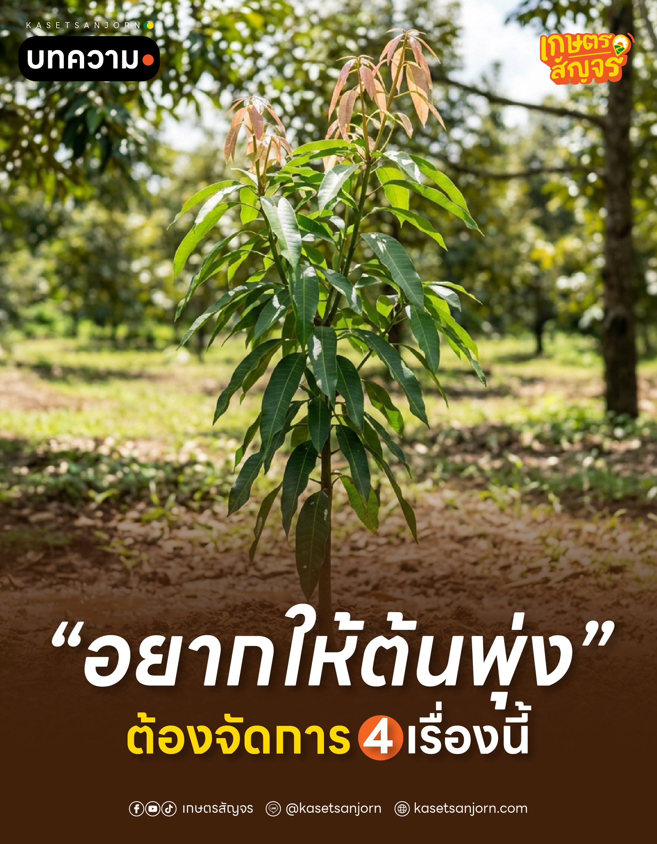 @เกษตรสัญจร