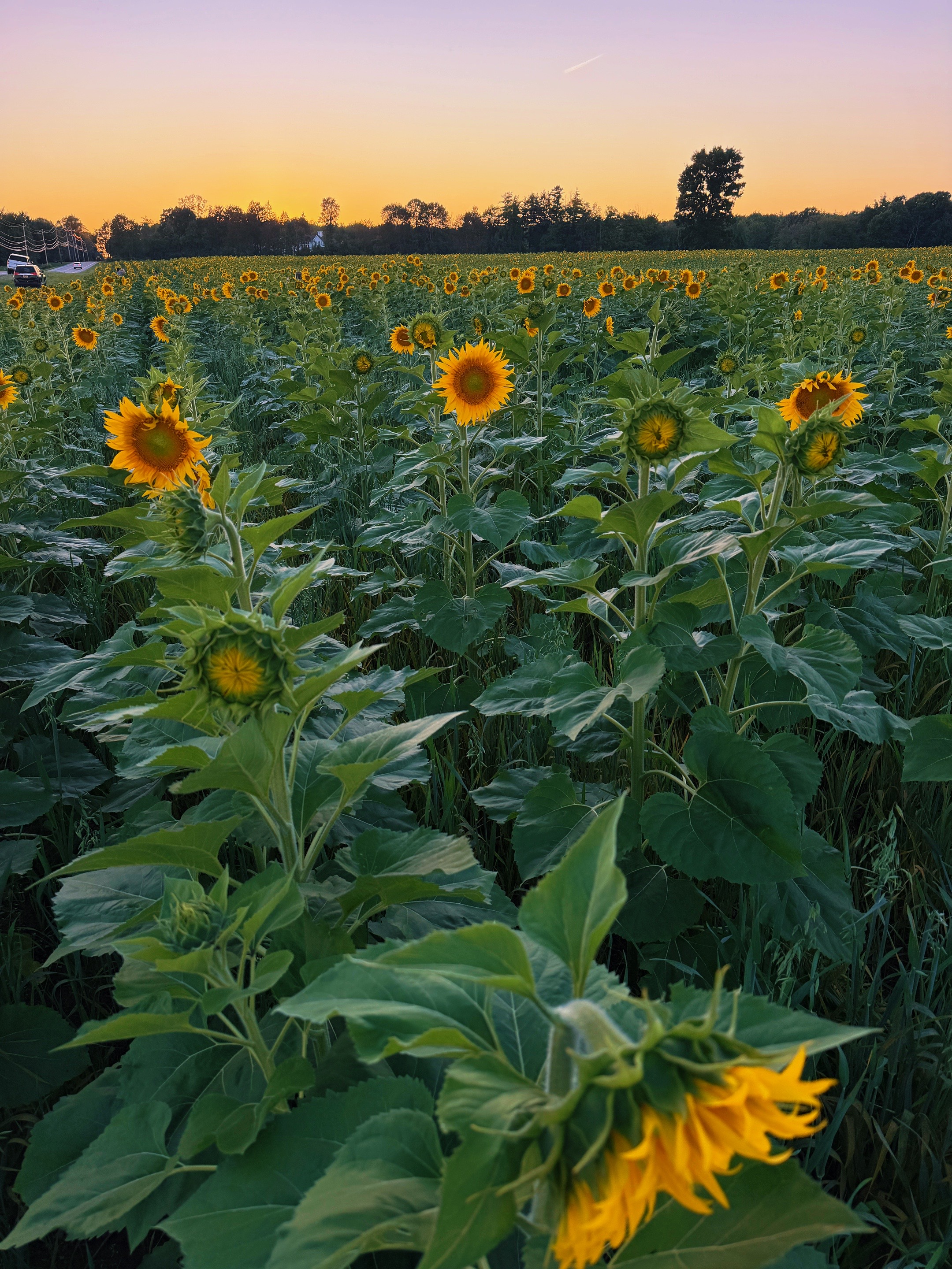 @ThisIsROC - Rochester NY