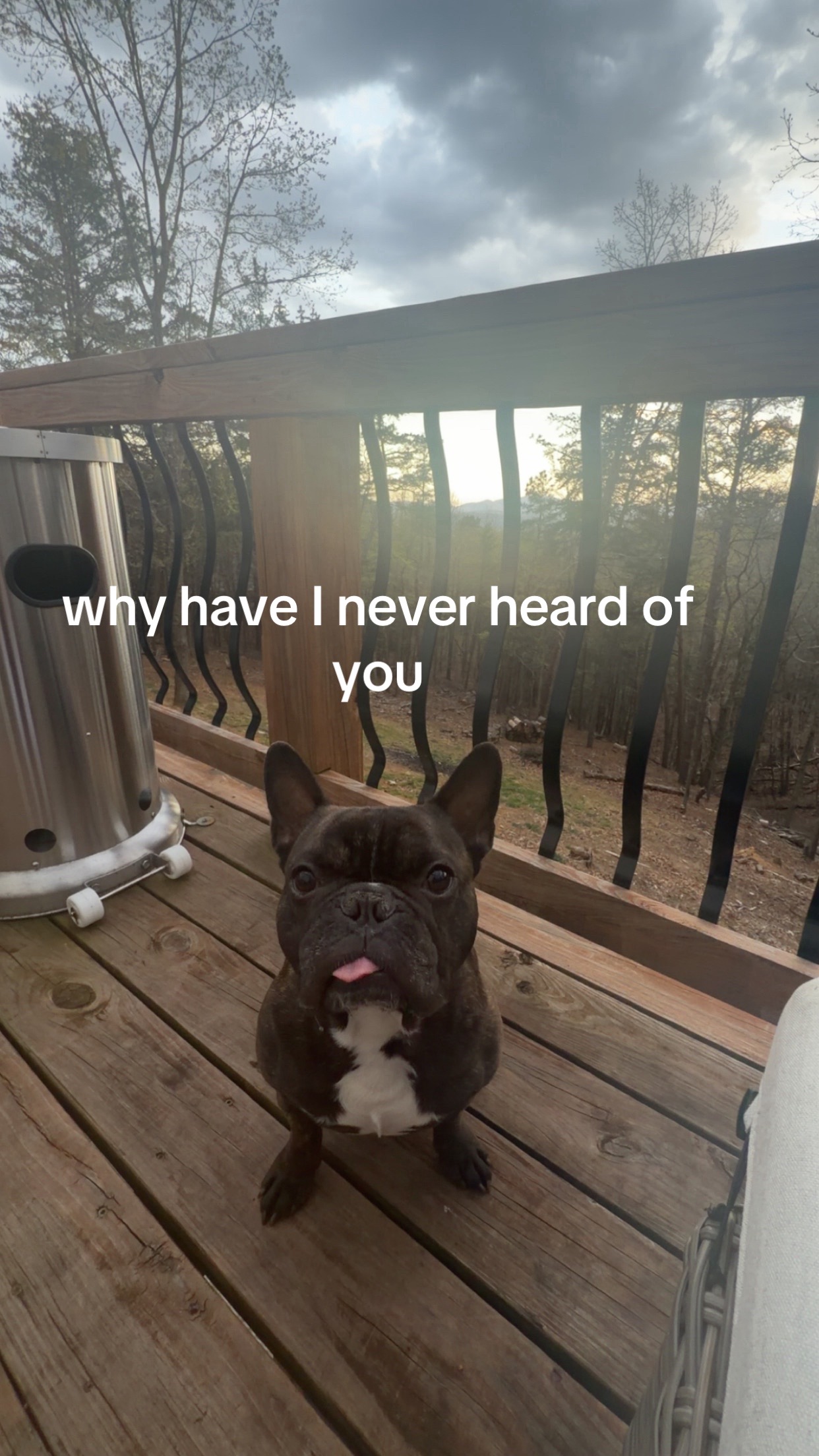 @Beavinator