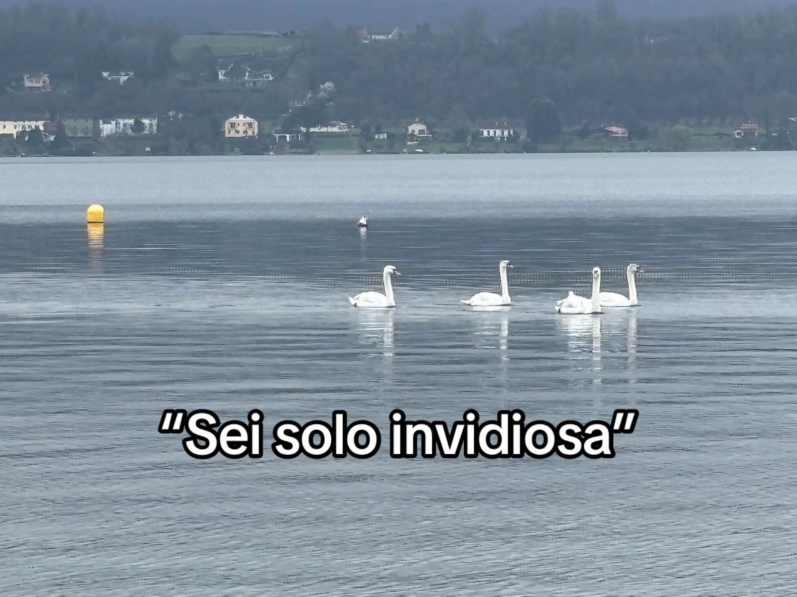 @𝑁𝐴𝑇𝐴𝐿𝐼𝐴🇨🇴