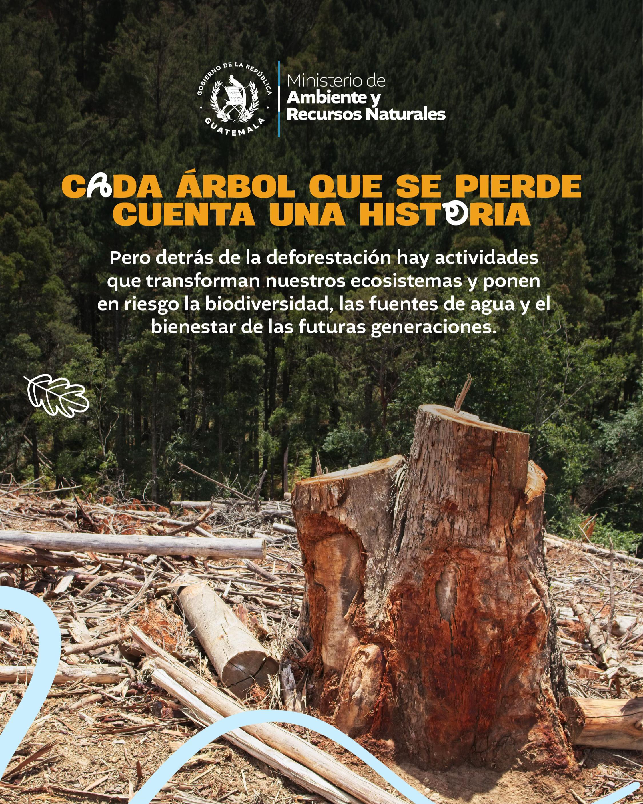 @Ministerio de Ambiente GT