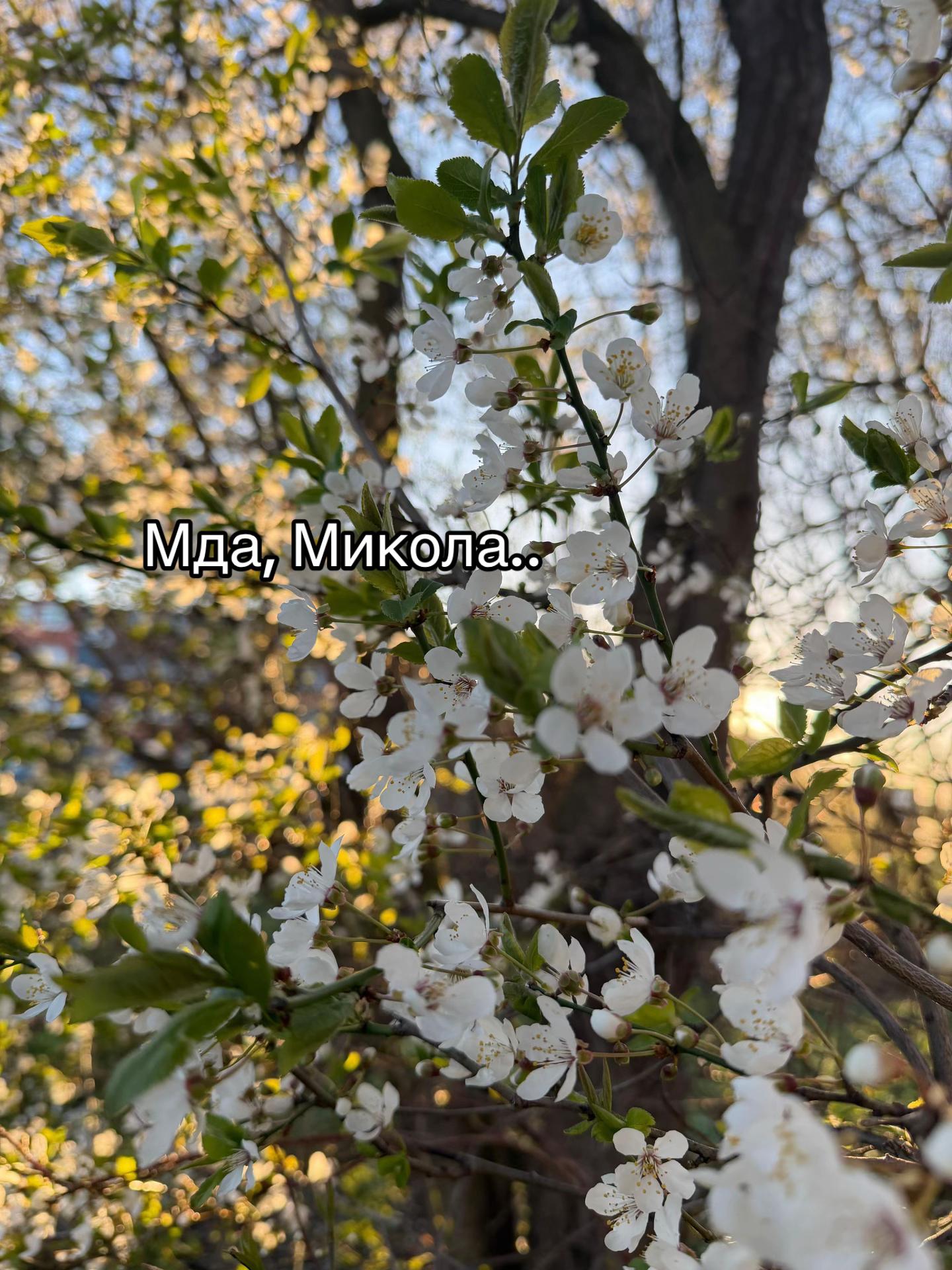 @m4_8fc86🎱