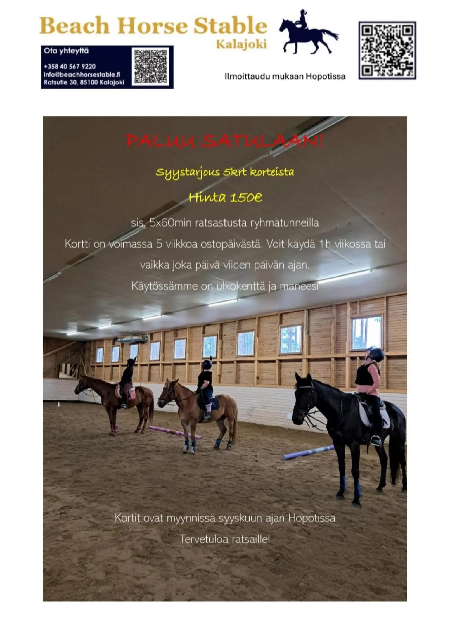 @Beach Horse Stable