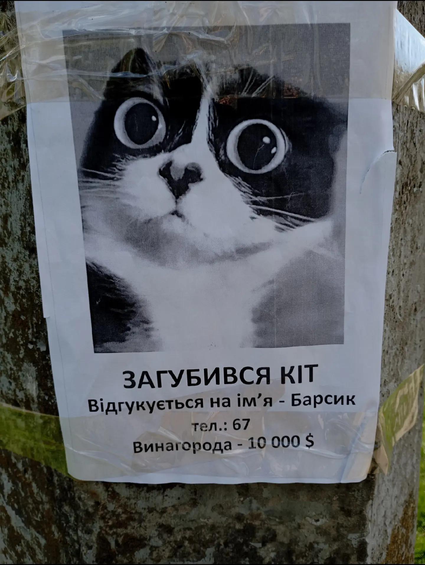 @сигма