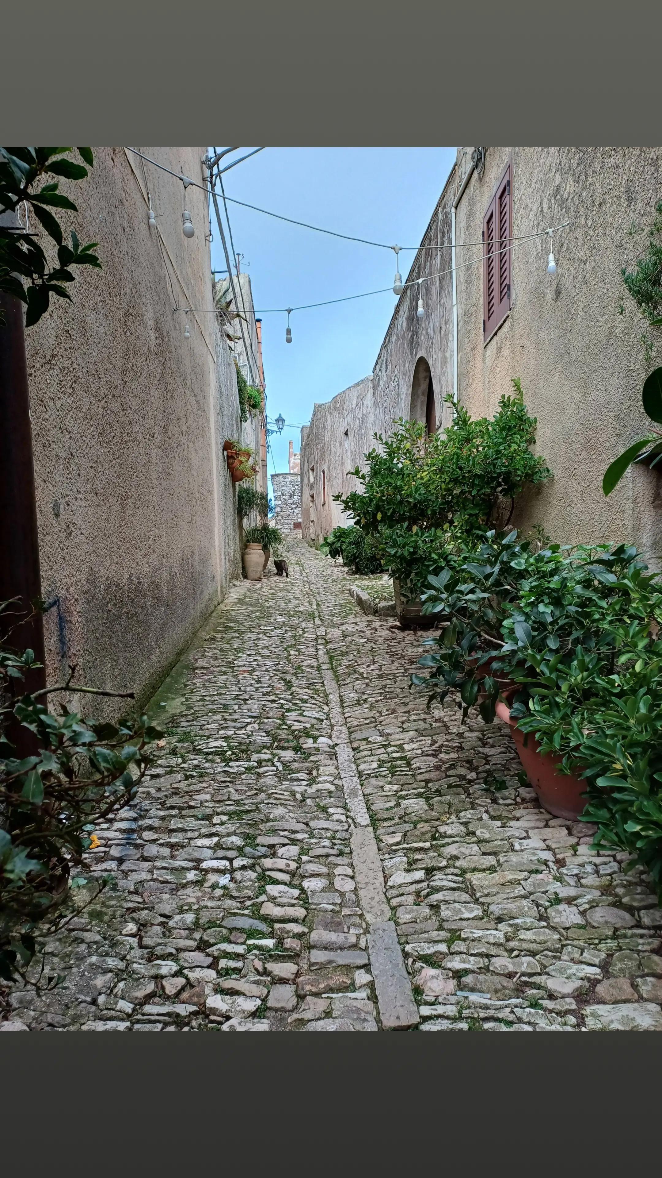 @Rosalba, SFIZZI PAZZI