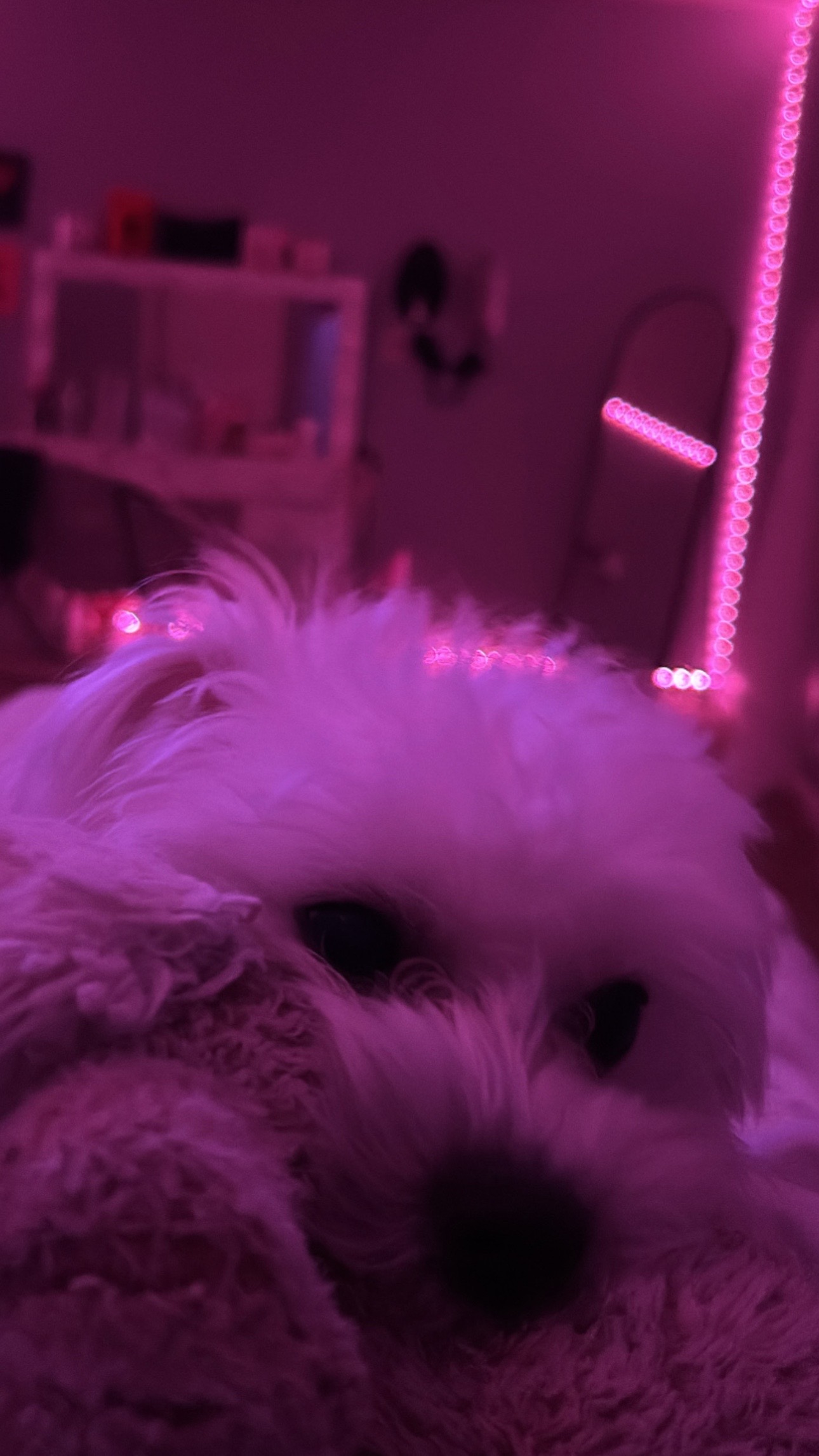 @𝟗𝟗𝟗