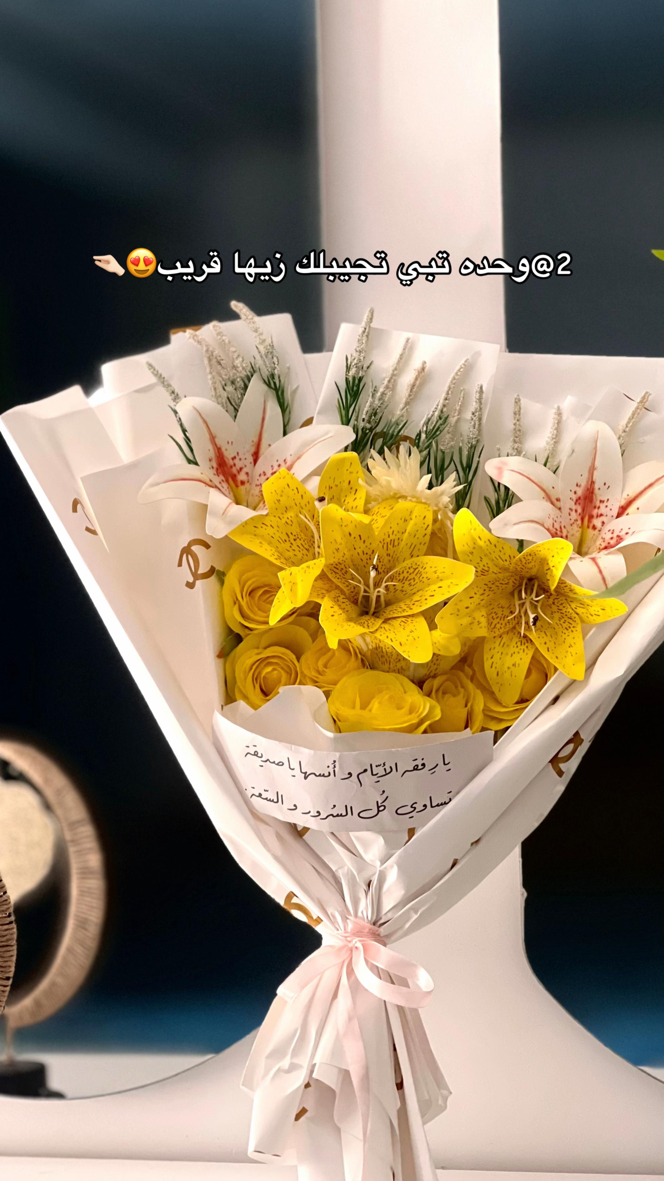 @دُعاء،بوبكر🪽DODO GIFT