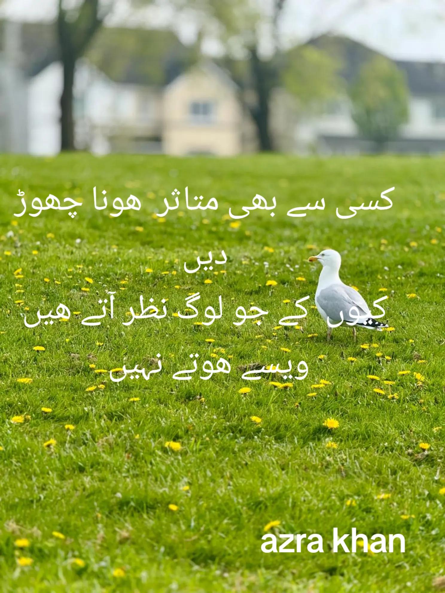 @Talk with Azra khan