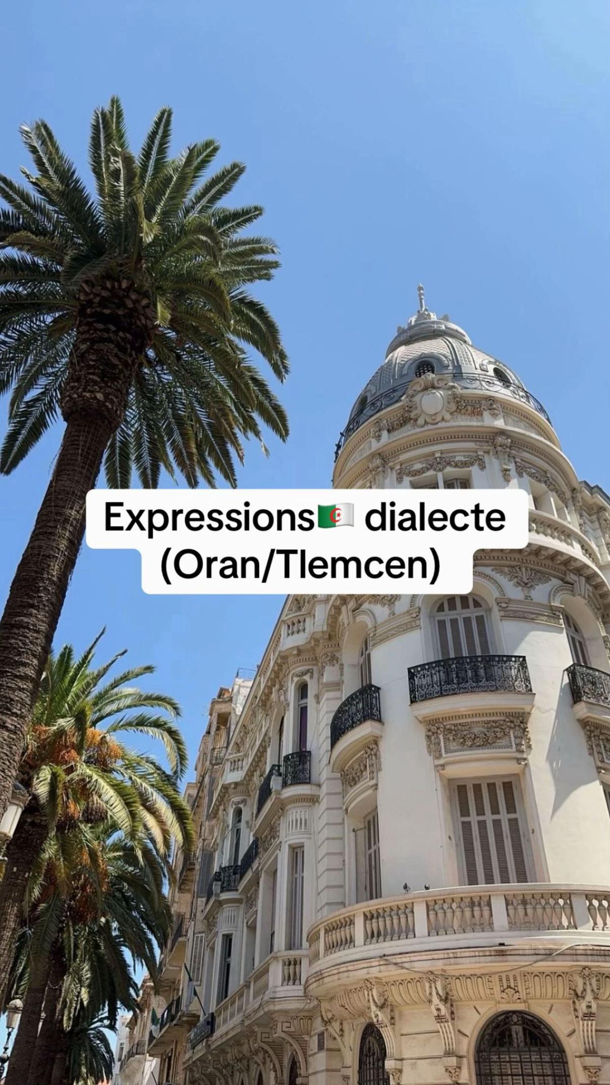 @🇩🇿