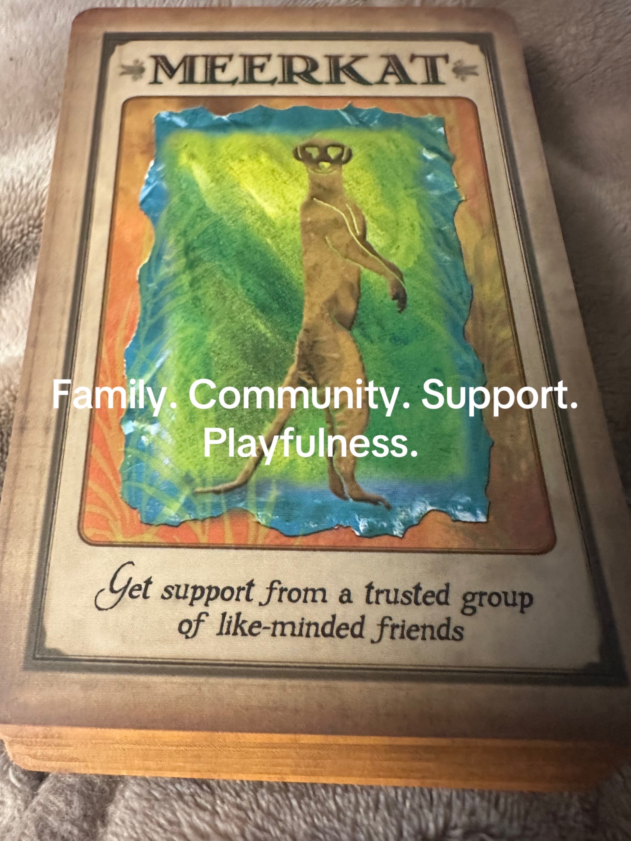 @insightfultarotwithshell