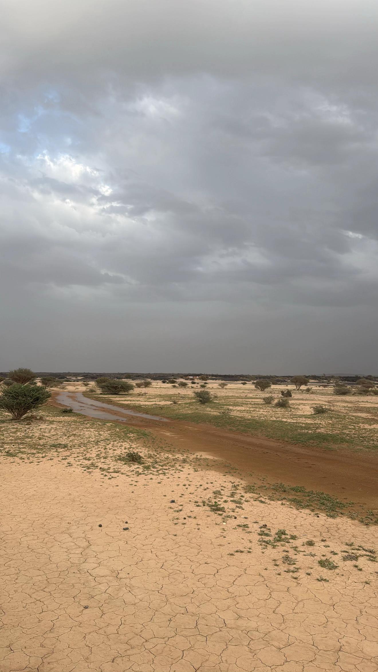 @العنود 🦂/الطائف💕