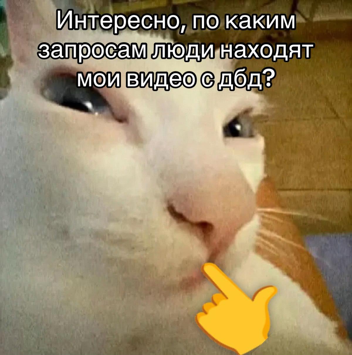 @Вульвазавр 🦖