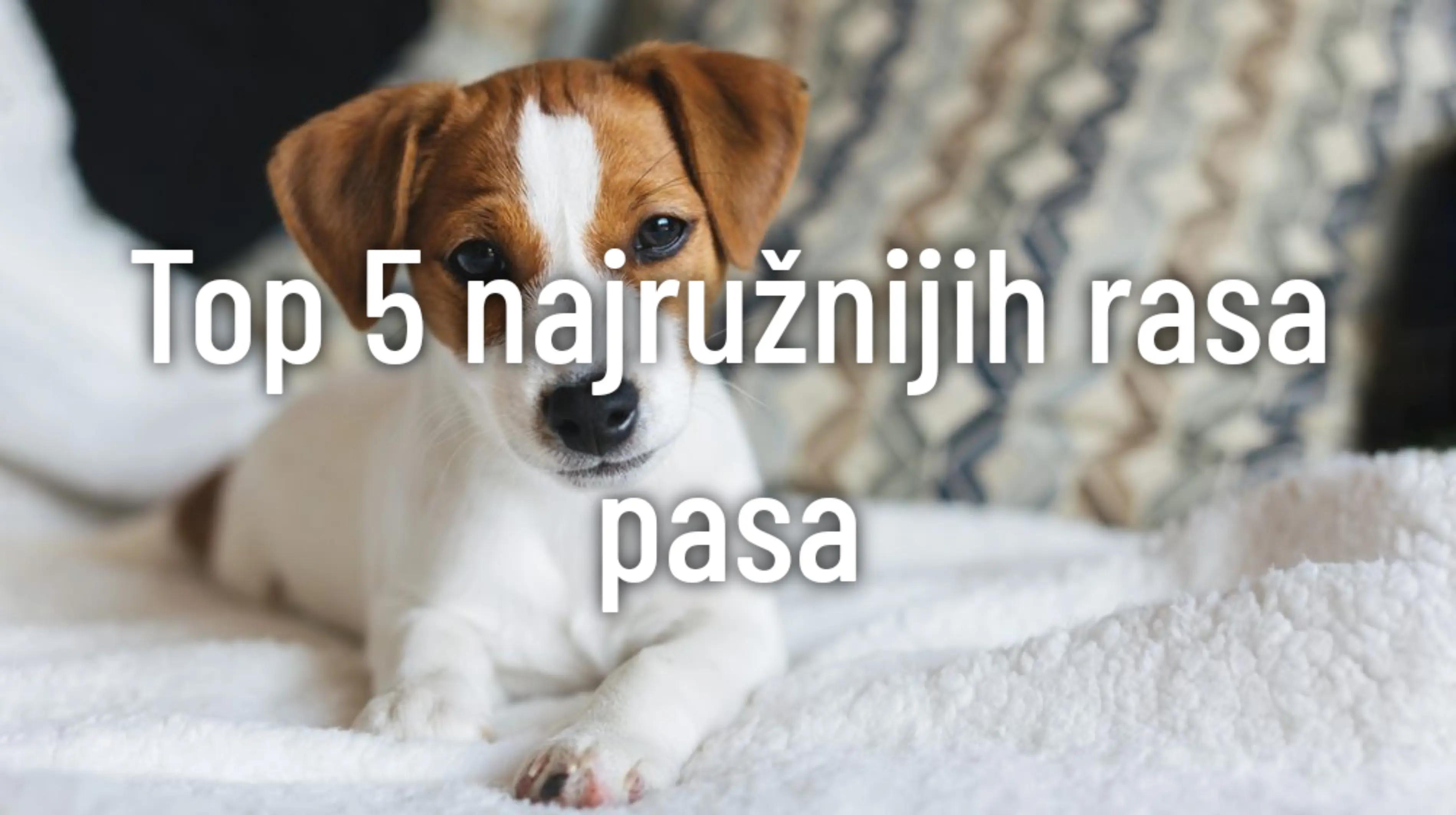 @Дорћолац