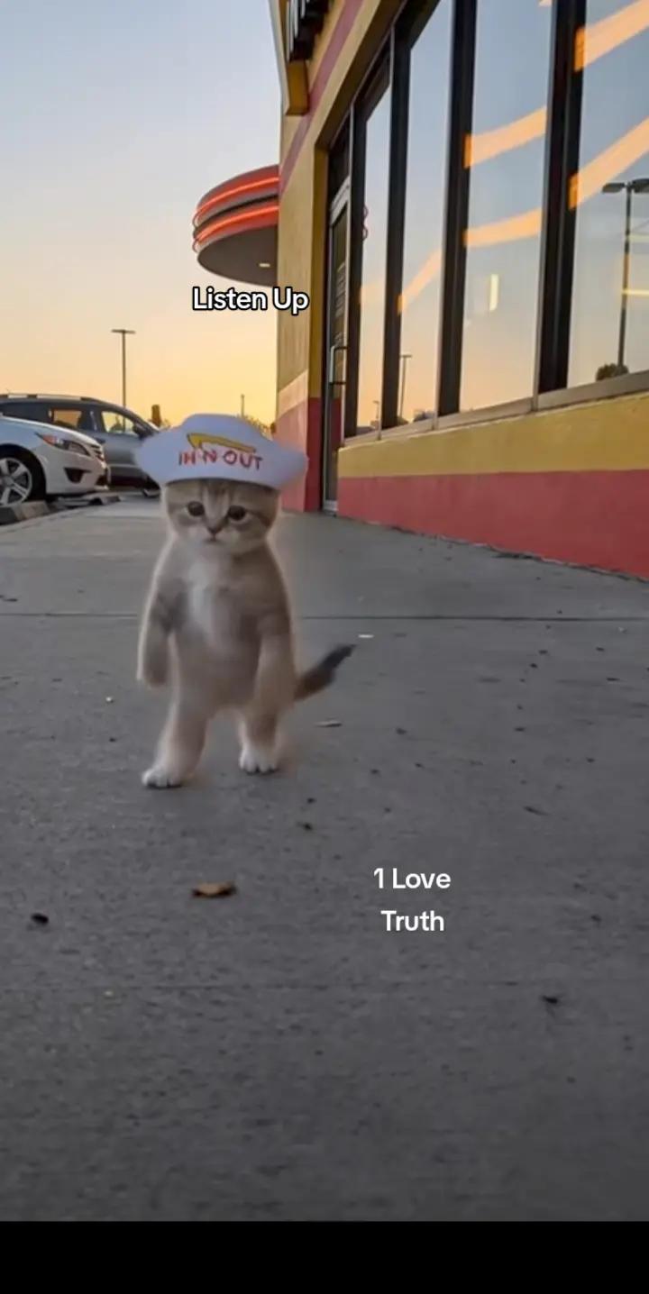 @LightSpiritualWarrior