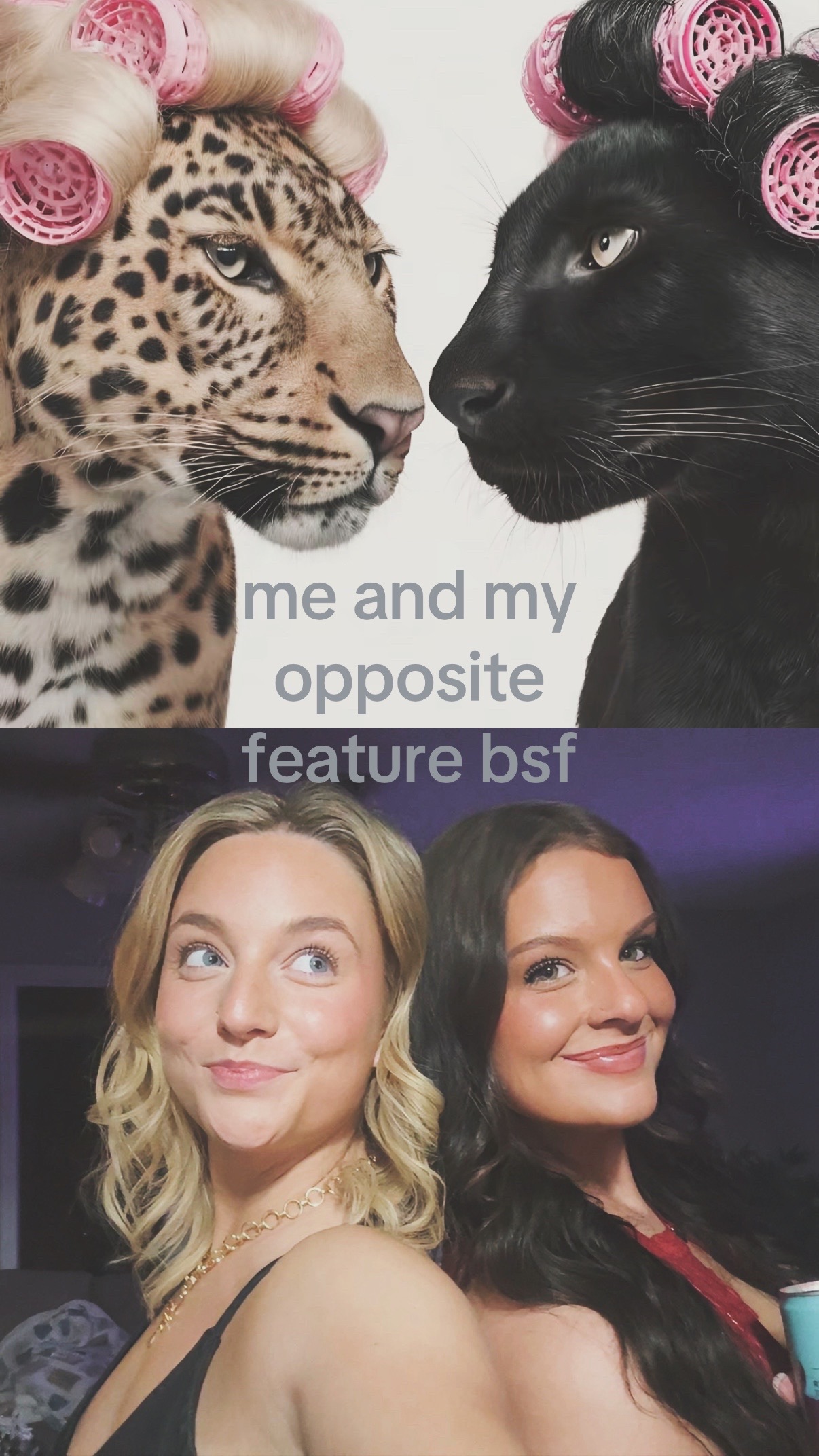 @kt