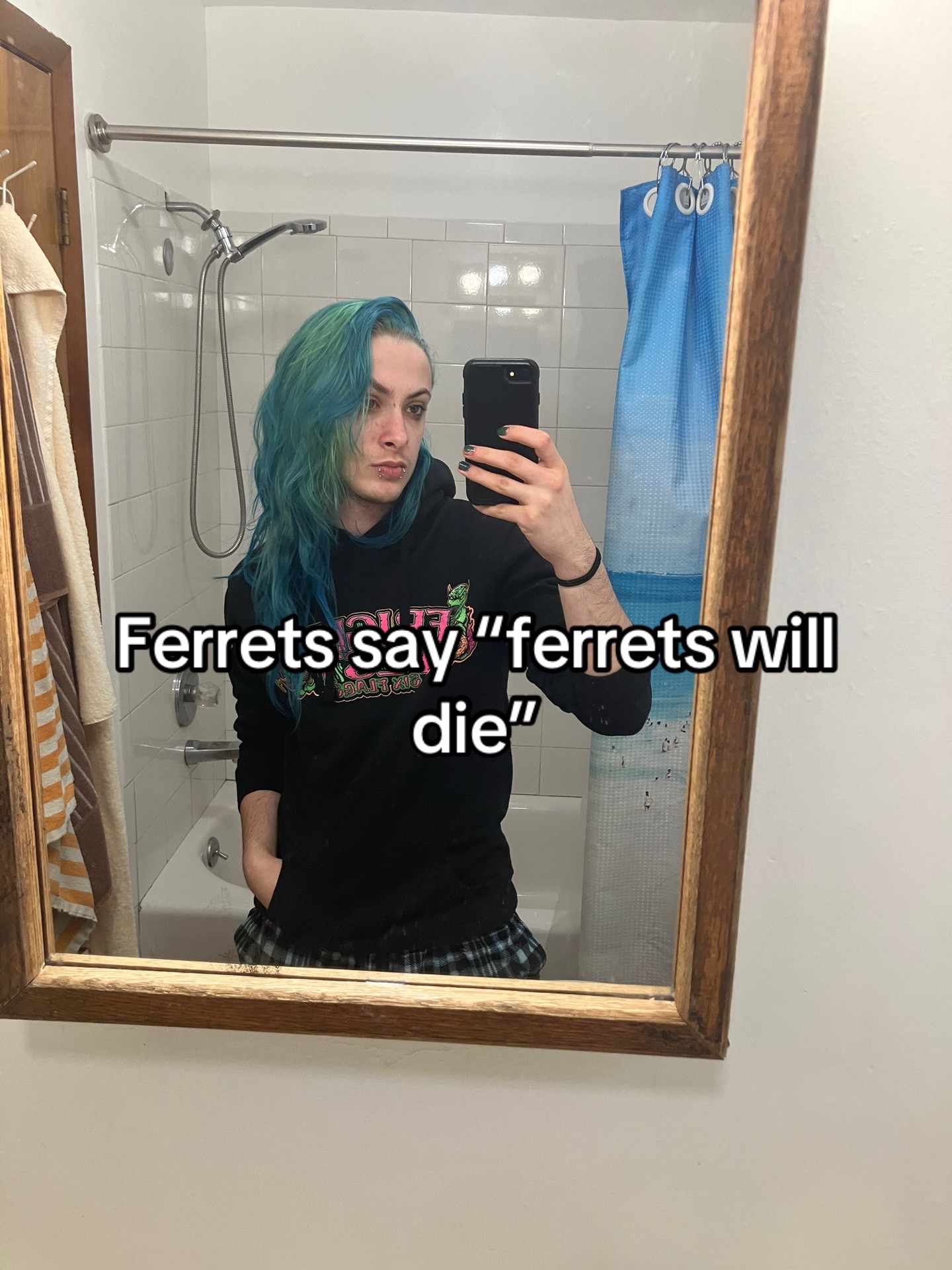 @Ferret System๐ต๐ธ