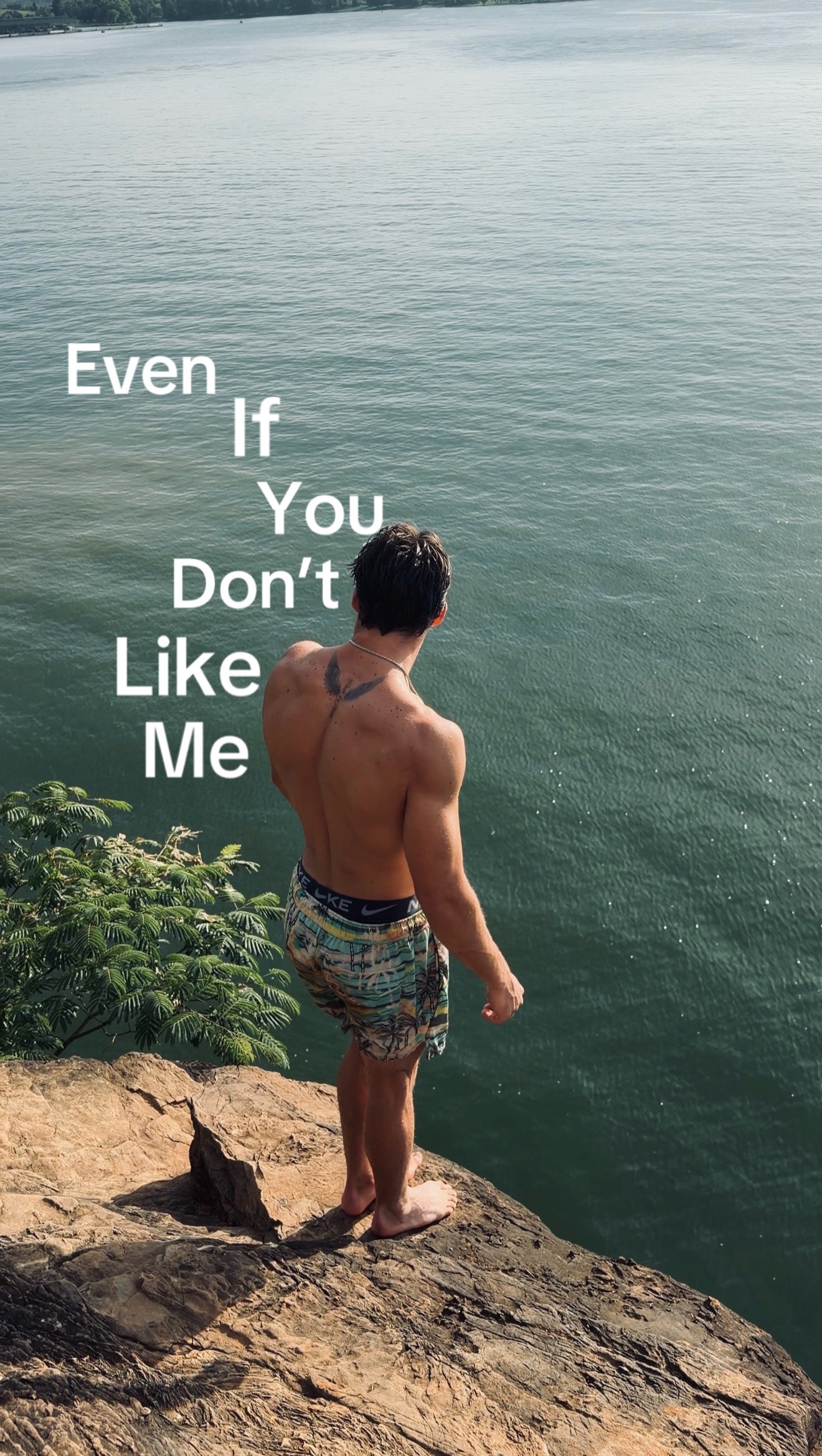 @Brody
