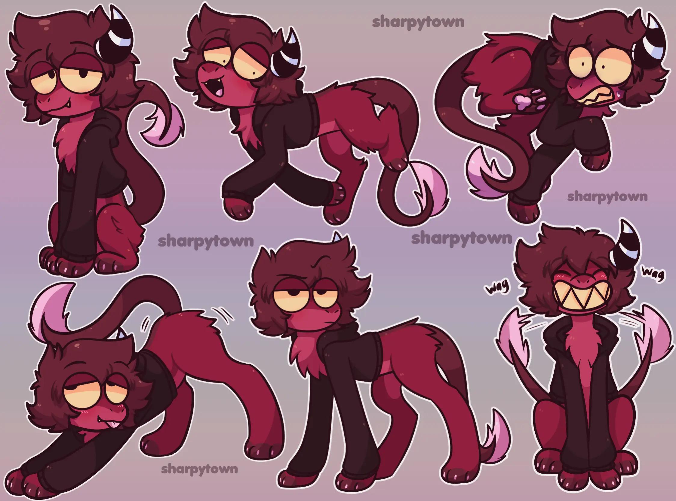 @Sharpy! 🦨 🎀