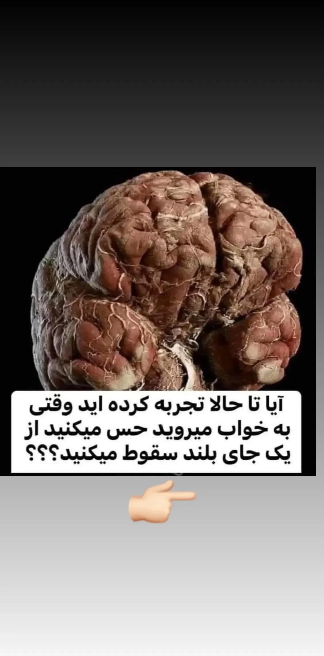 @zalshar66