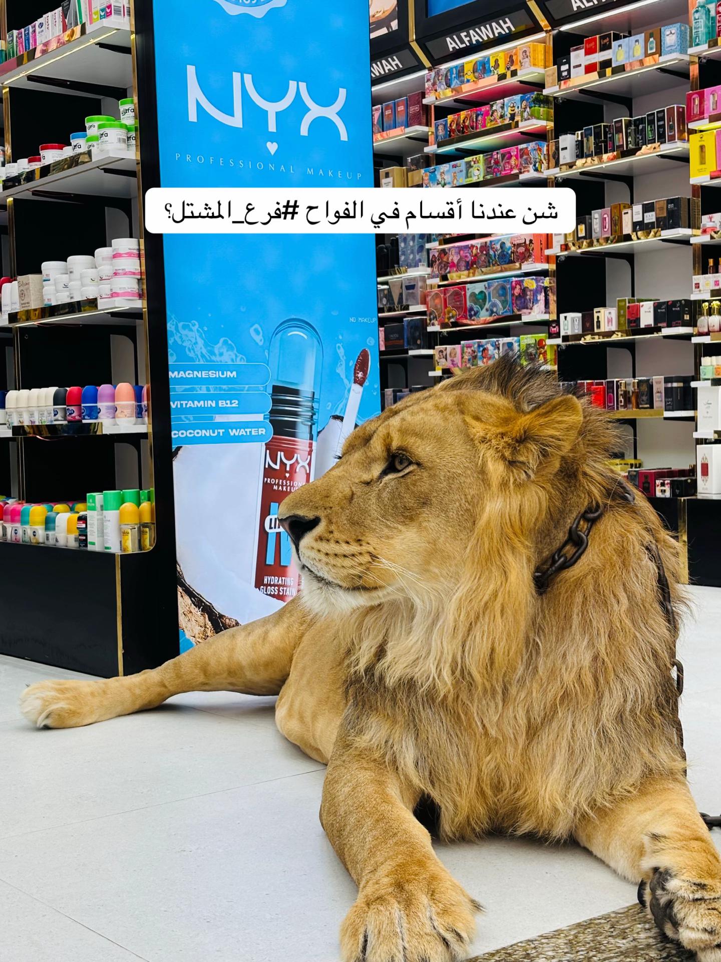 @الفواح /طرابلس