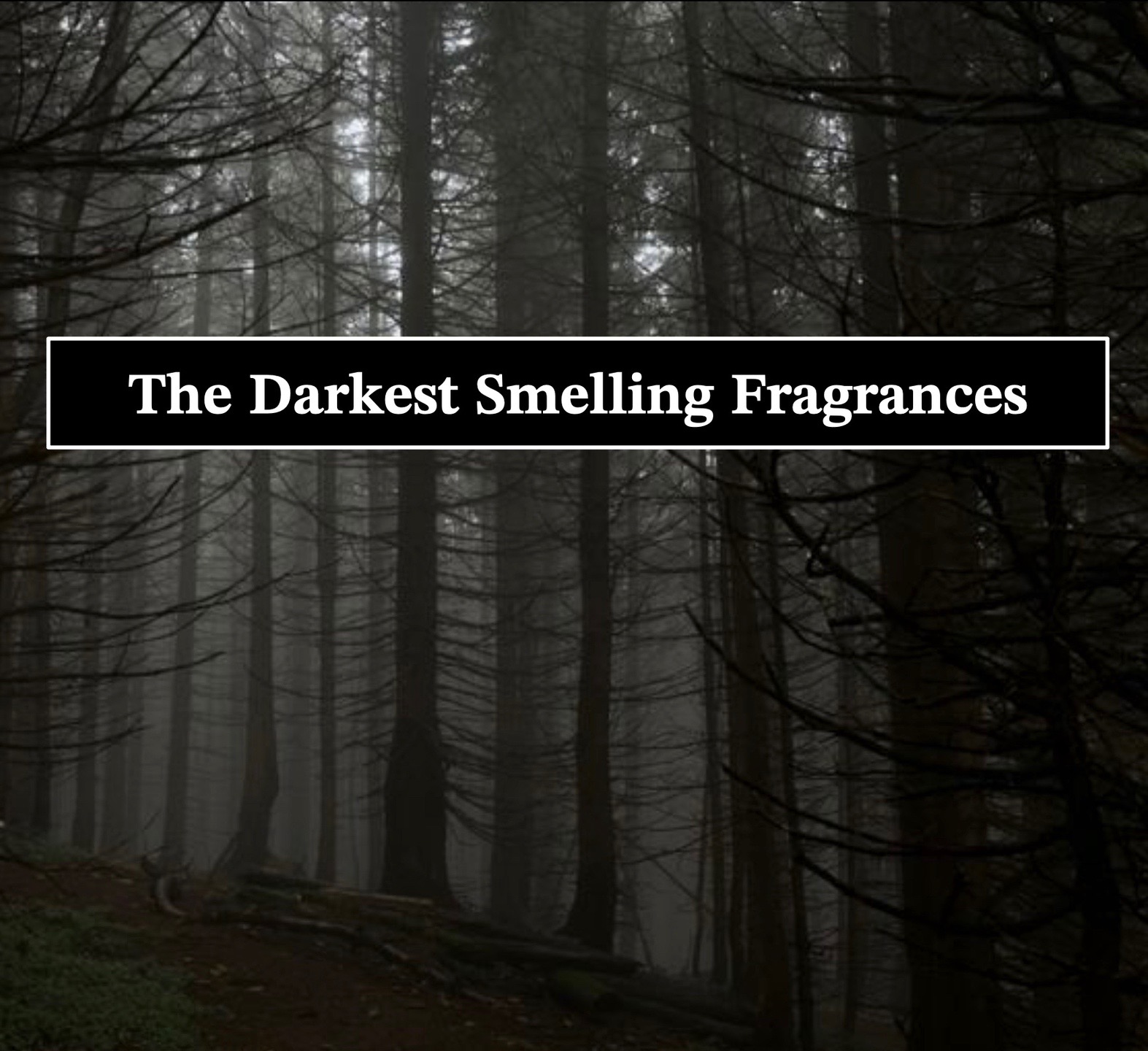 @gardenfragrances