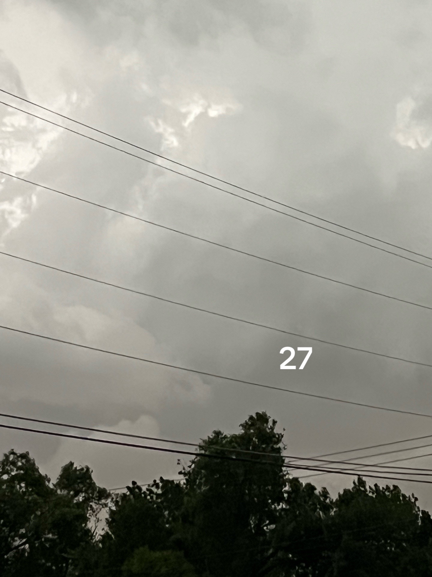 @Paola Ponce
