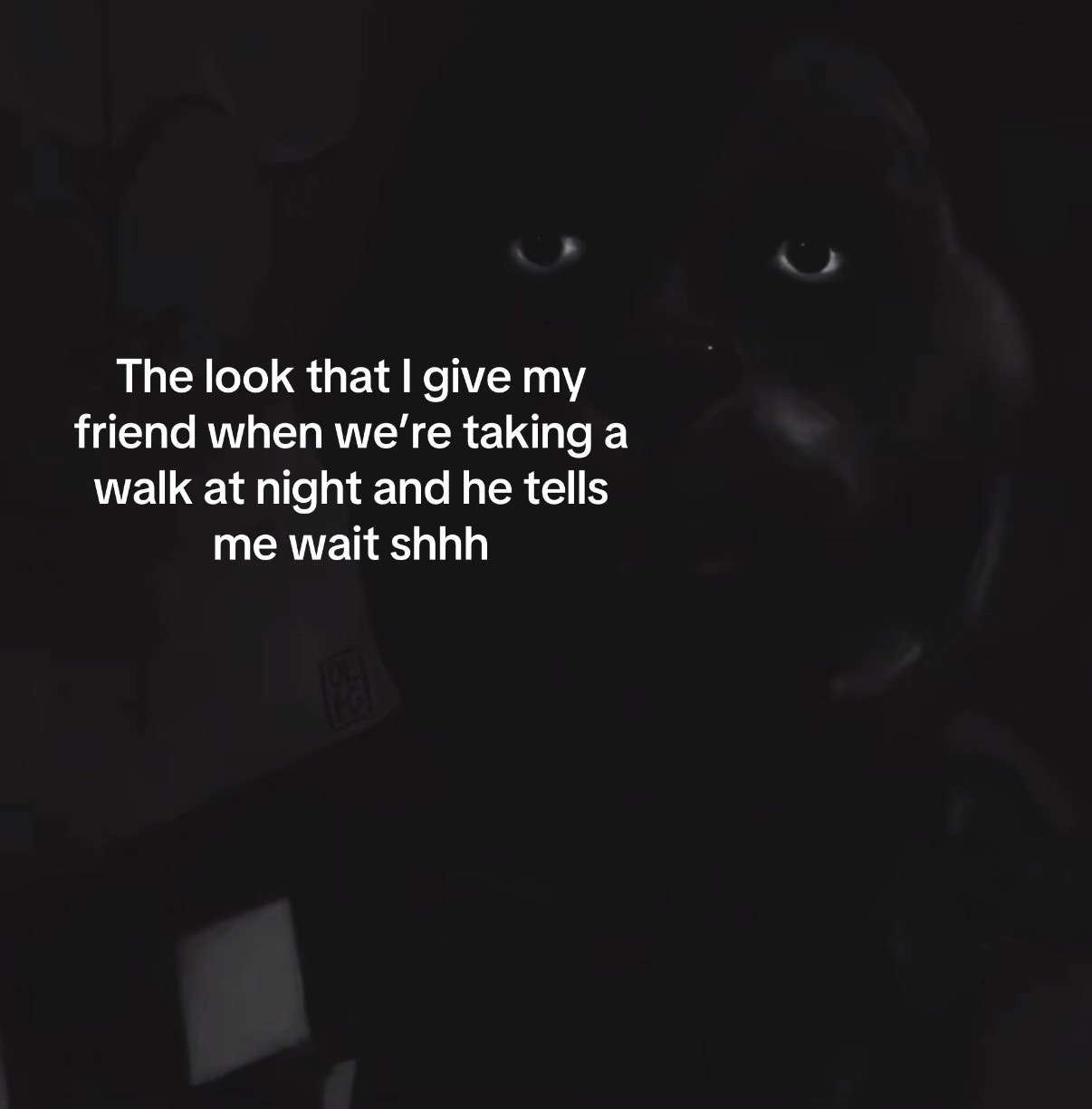 @Idk 🥀