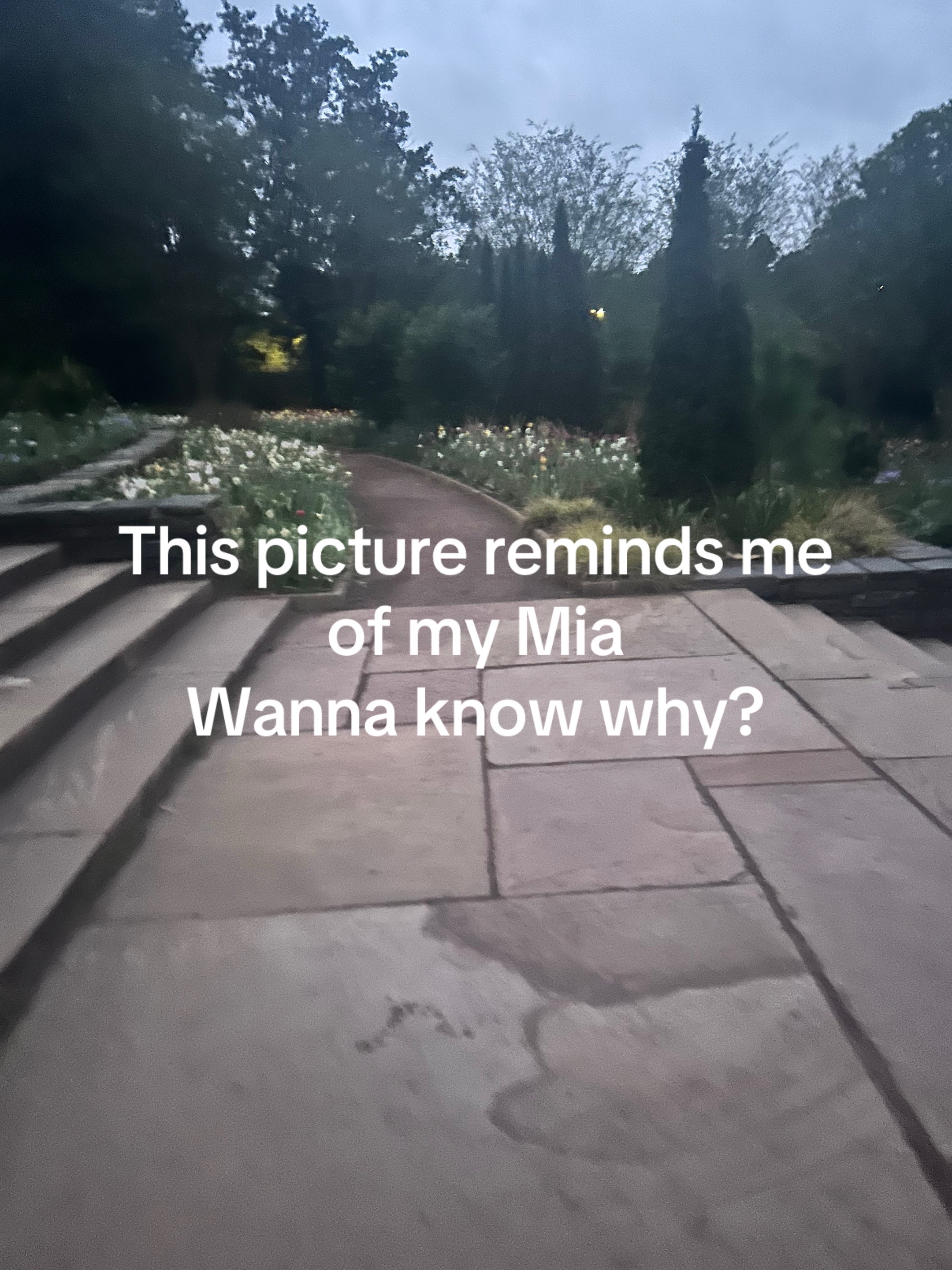 @🩸🩹☆𝔎𝔶☆🩹🩸