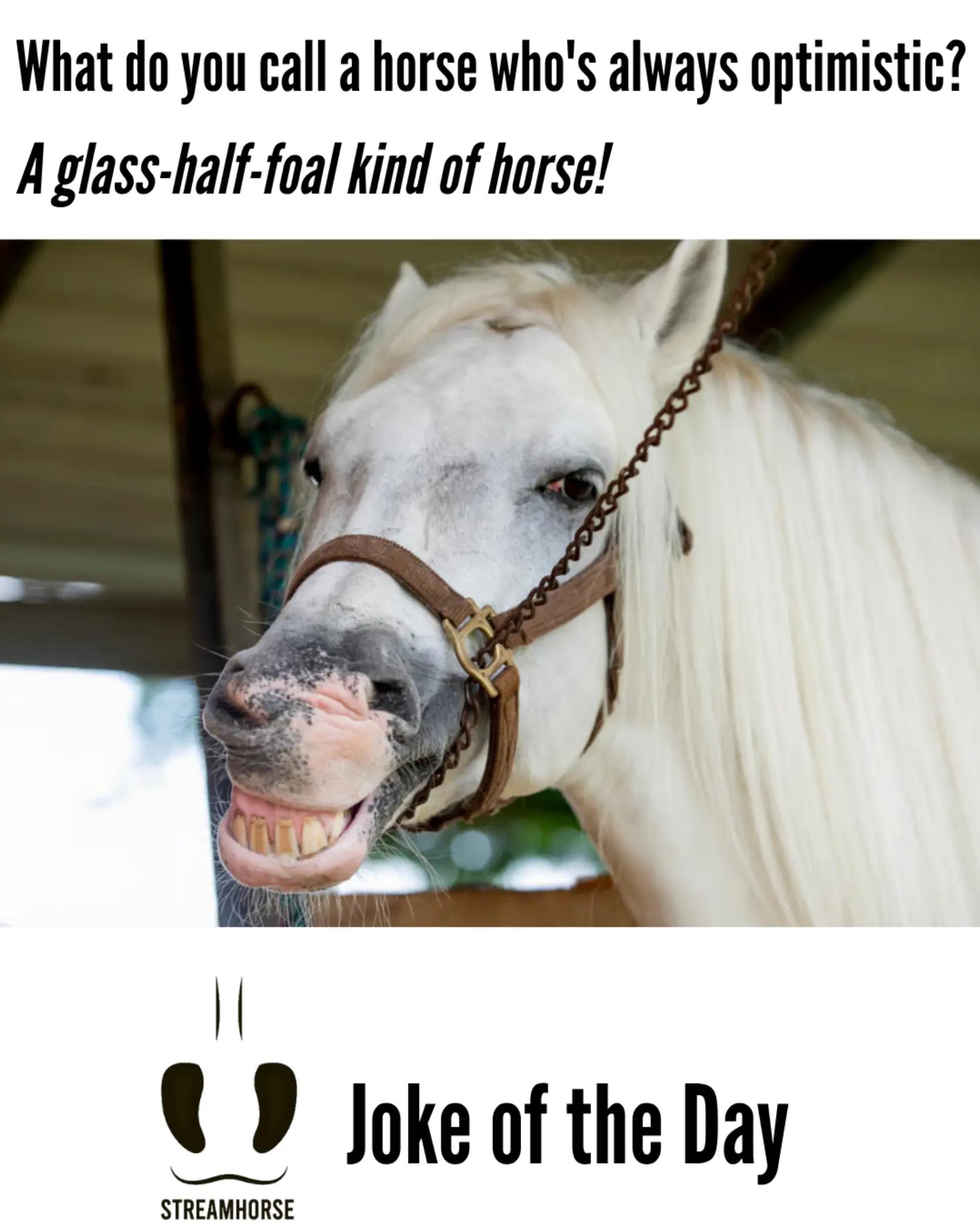@streamhorse