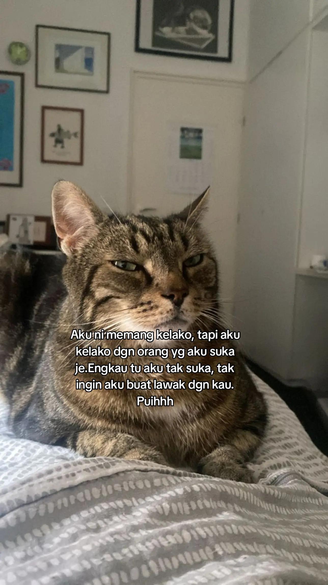 @M A N