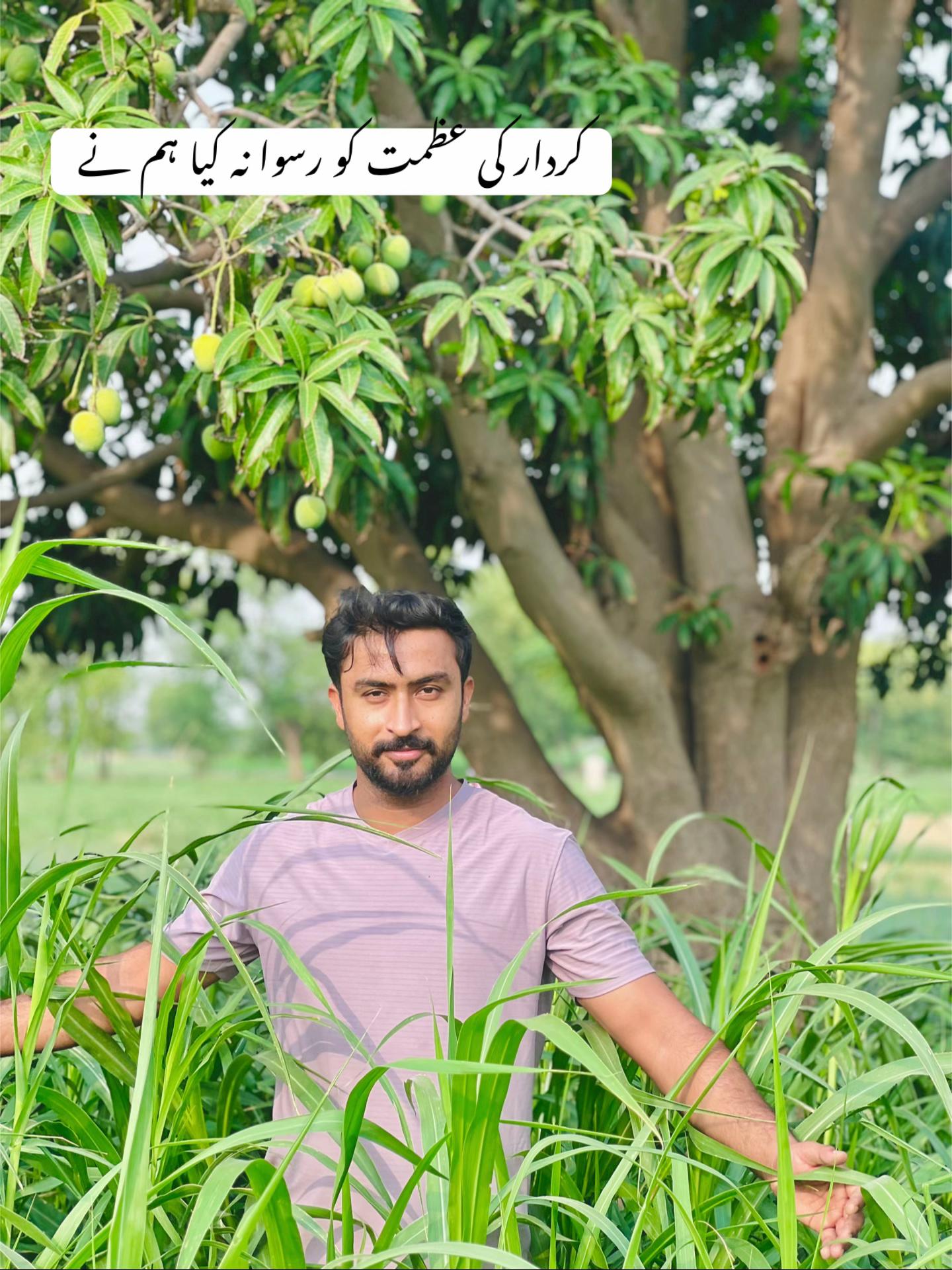 @Ahsan alee