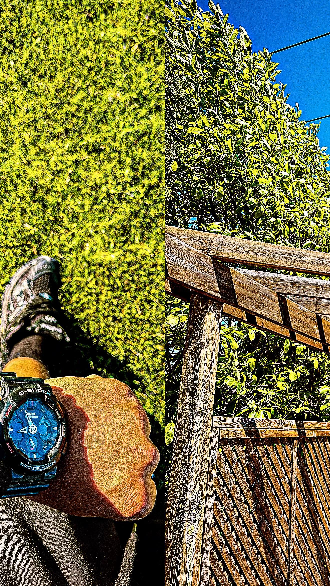 @𝑻𝑪.𝑨𝑴𝑷