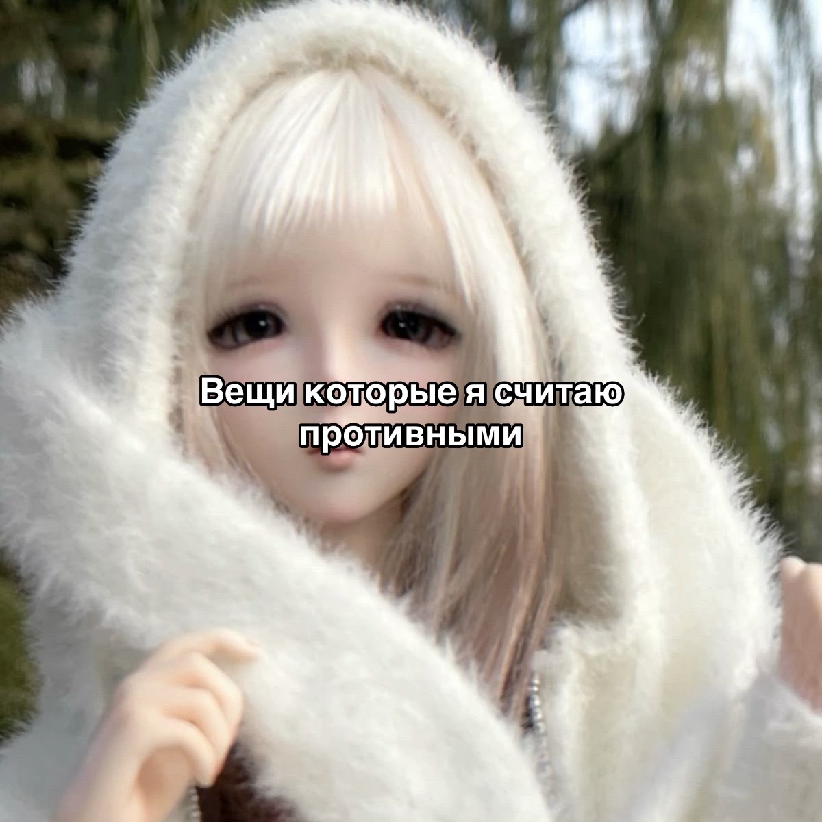 @🎐┊Озуи Няняян!&iexcl; ૮ ․ ․ ྀིა
