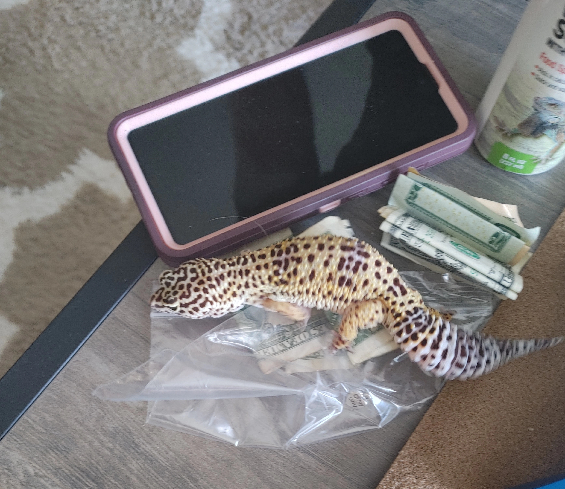 @WIreptiles