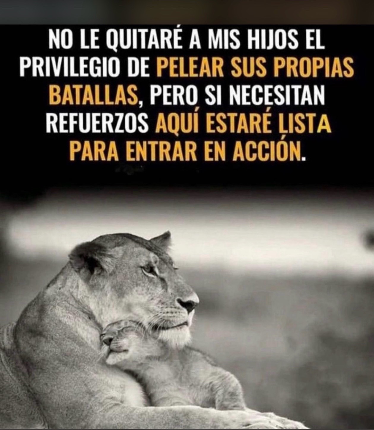 @👵 AbuelaDAlani🥰👶🌸