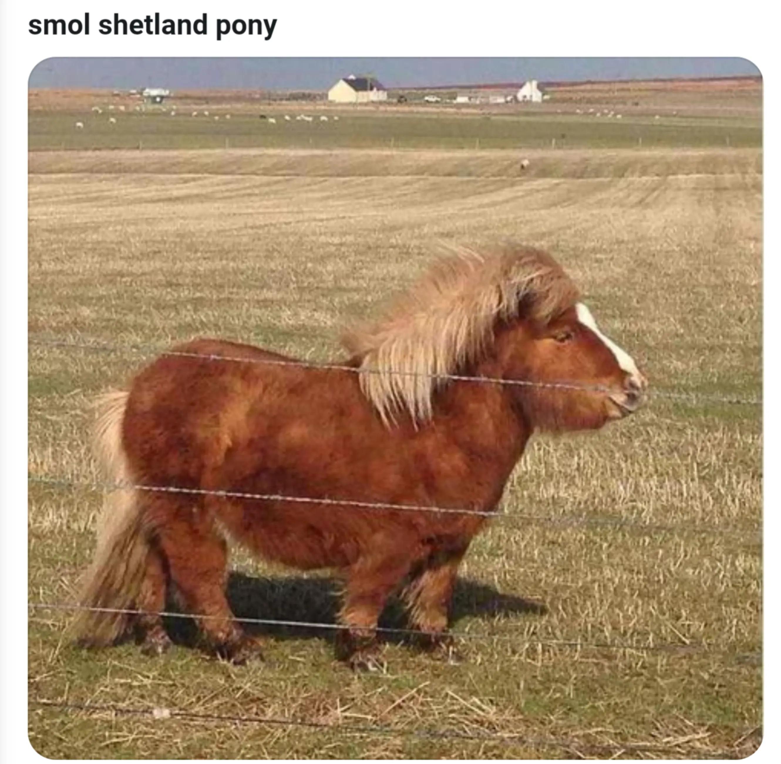 @Adam Mundorf