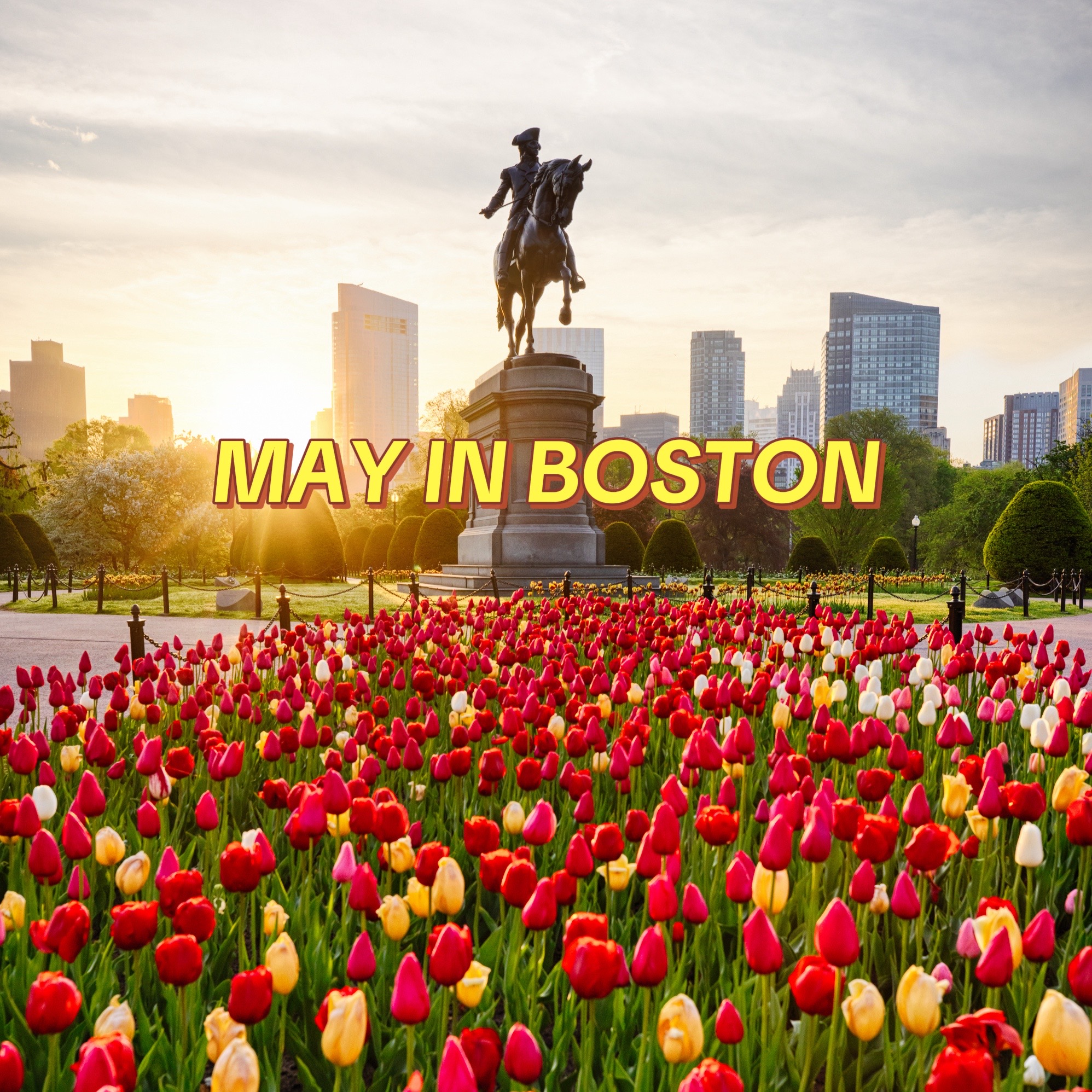 @Meet Boston