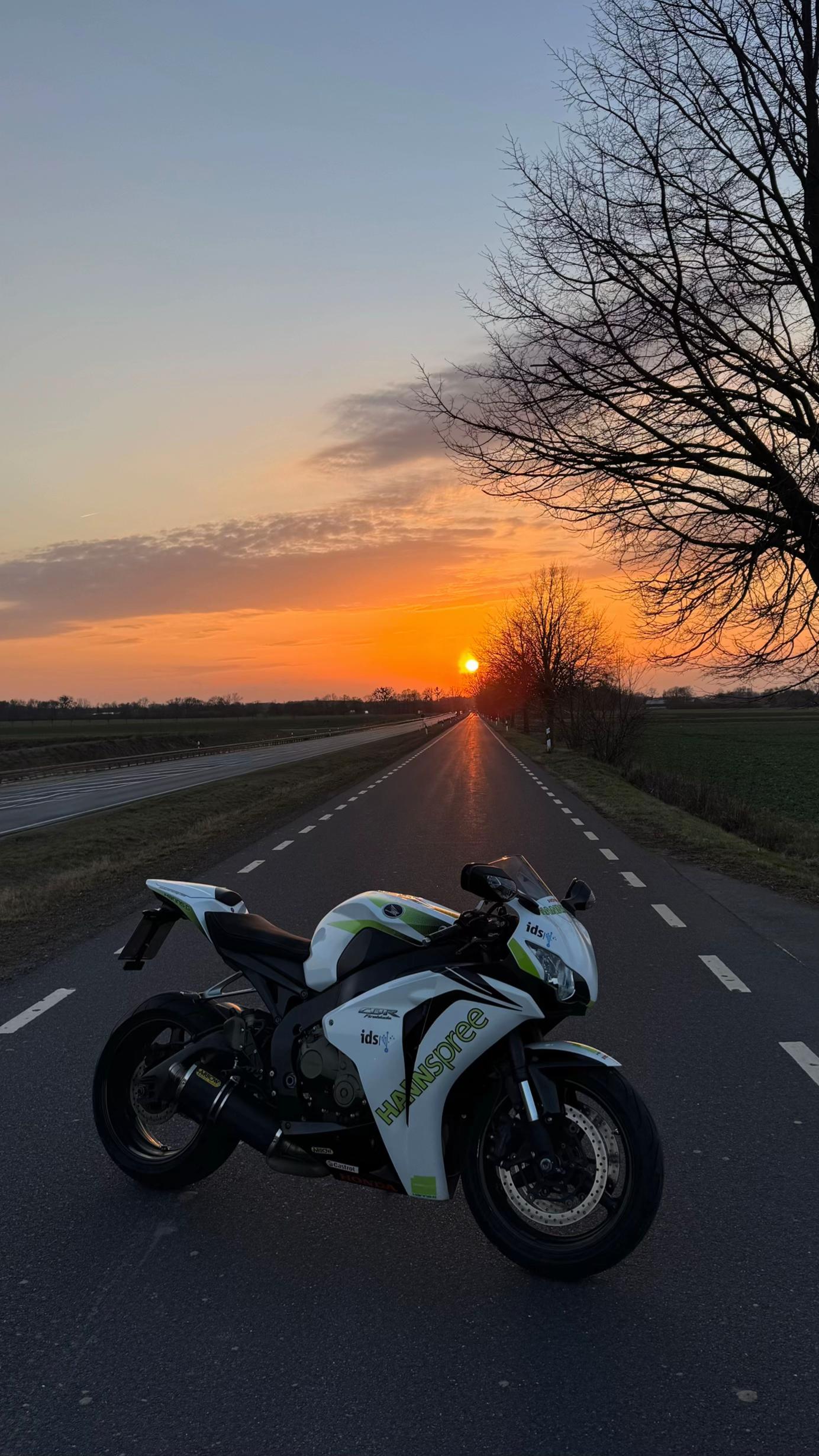 @lisa1000rr