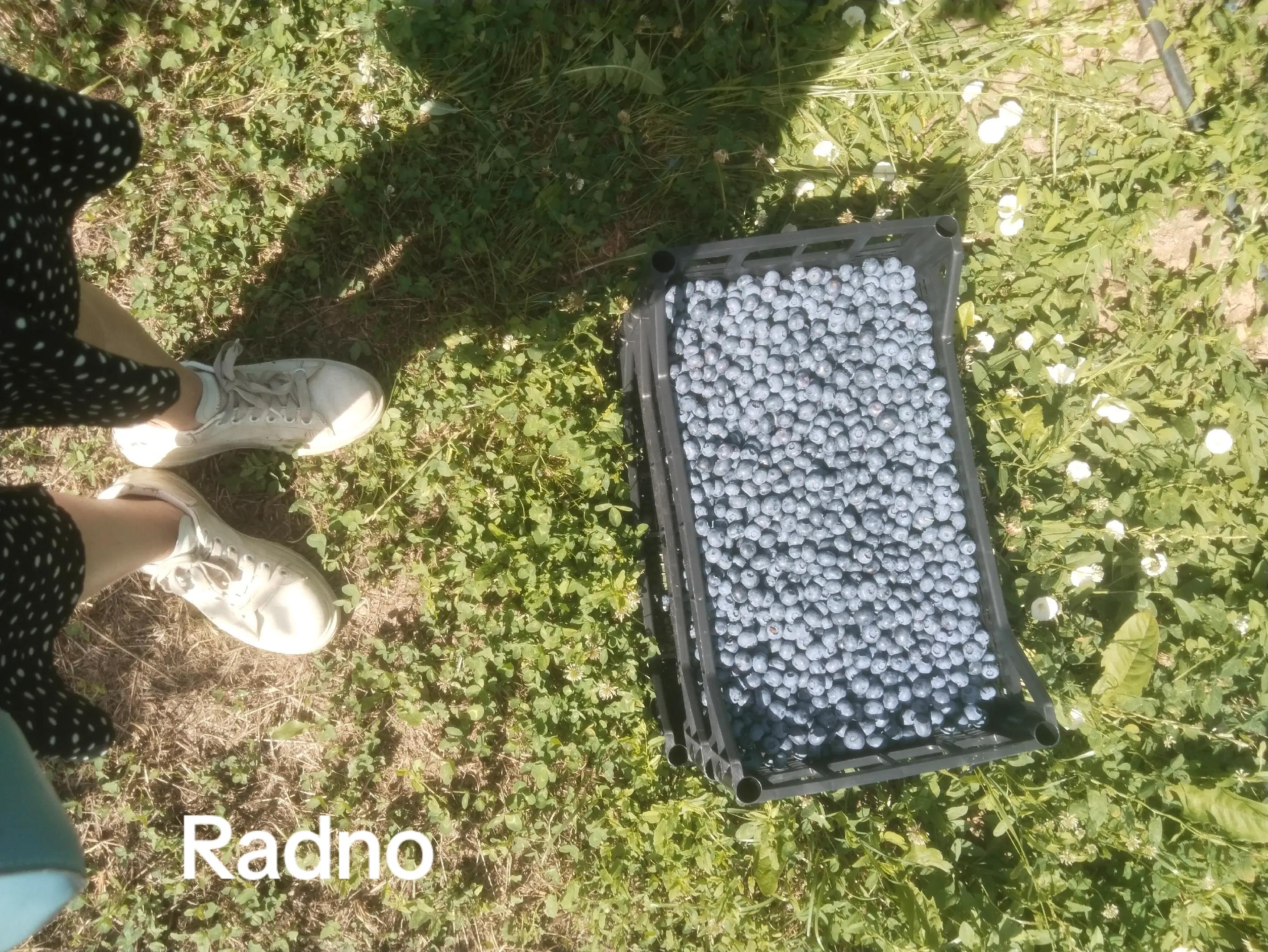 @Икааааааа💙